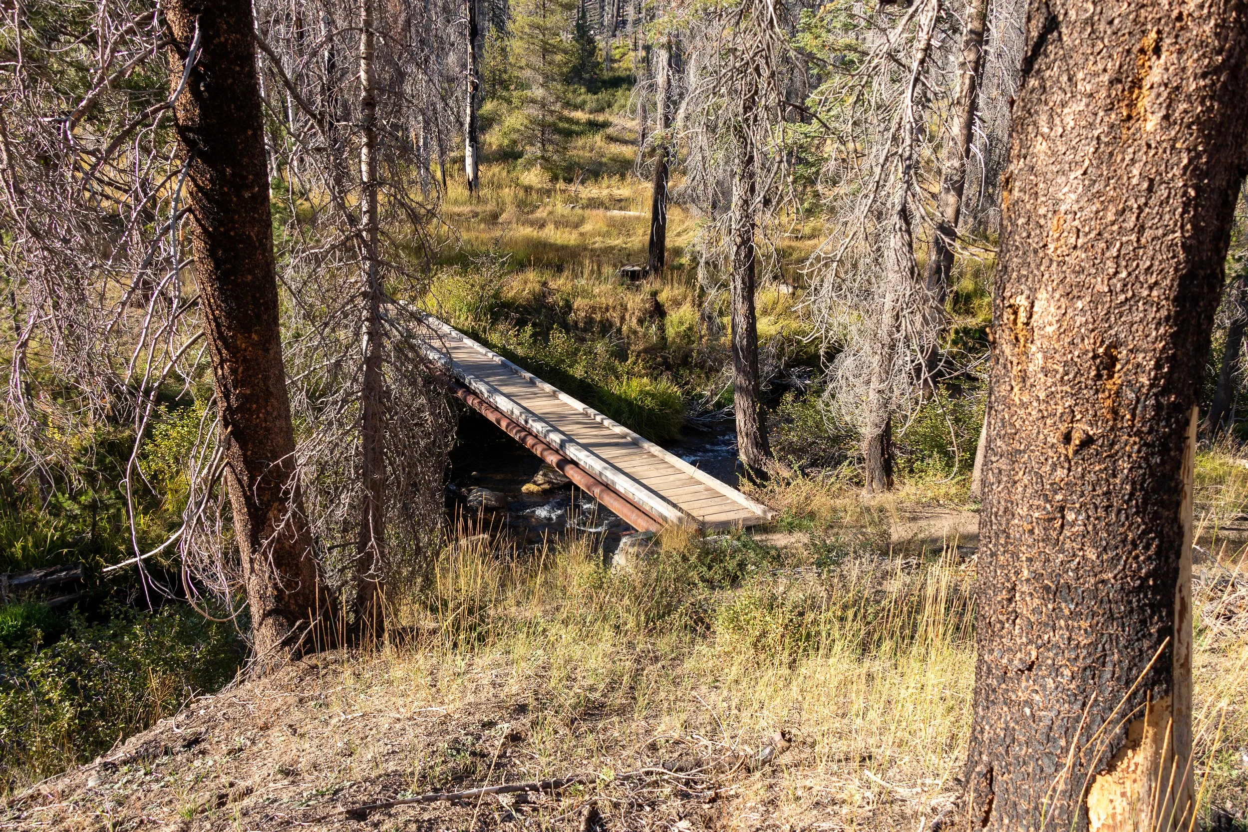 A small wooden bridge of the Pacific Crest Trail runs across a small stream, Lassen Volcanic National Park, California, United States.
