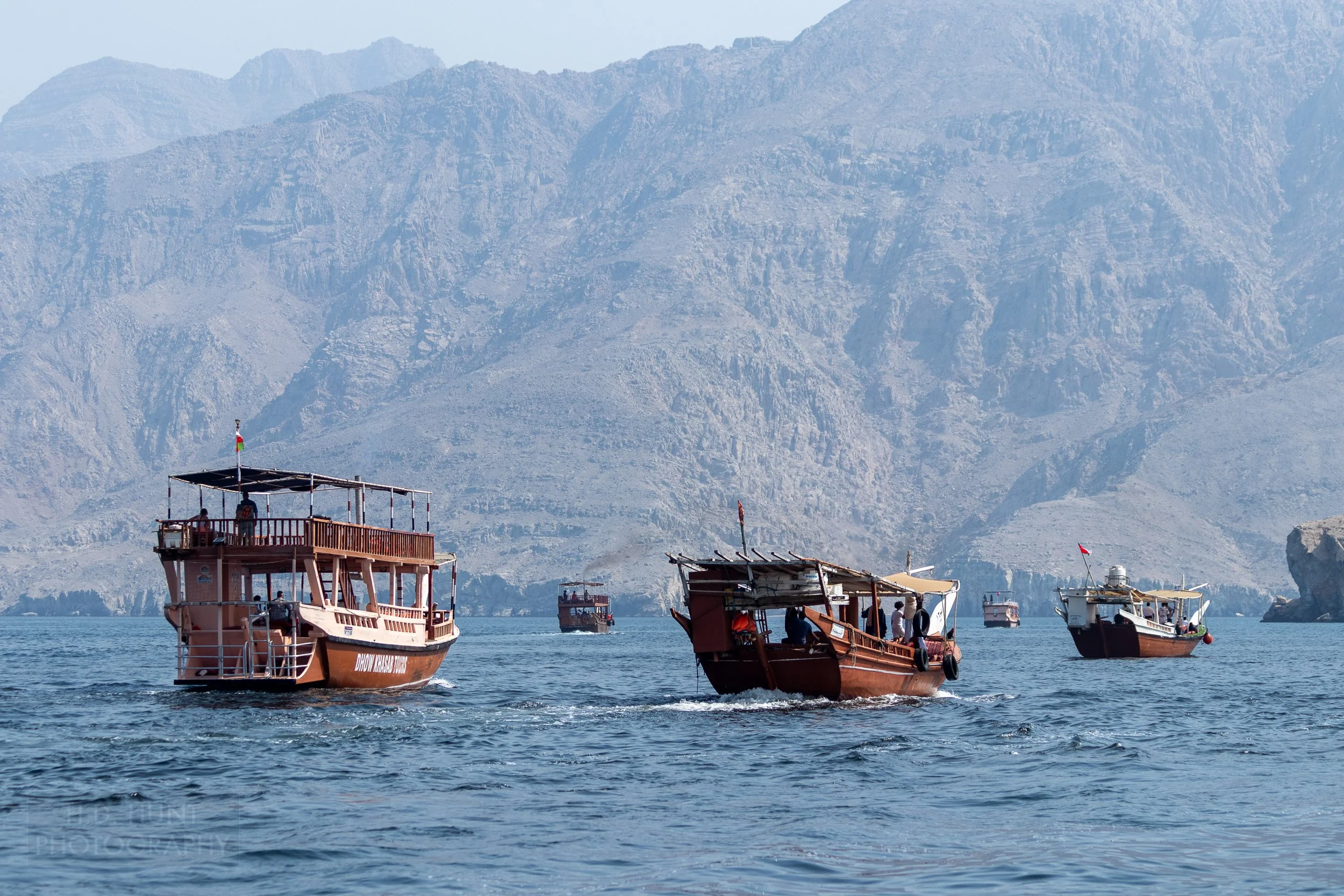Several dhow boats gather to spot dolphins in the water with the mountains of the Musandam Peninsula, Oman, rising in the background.