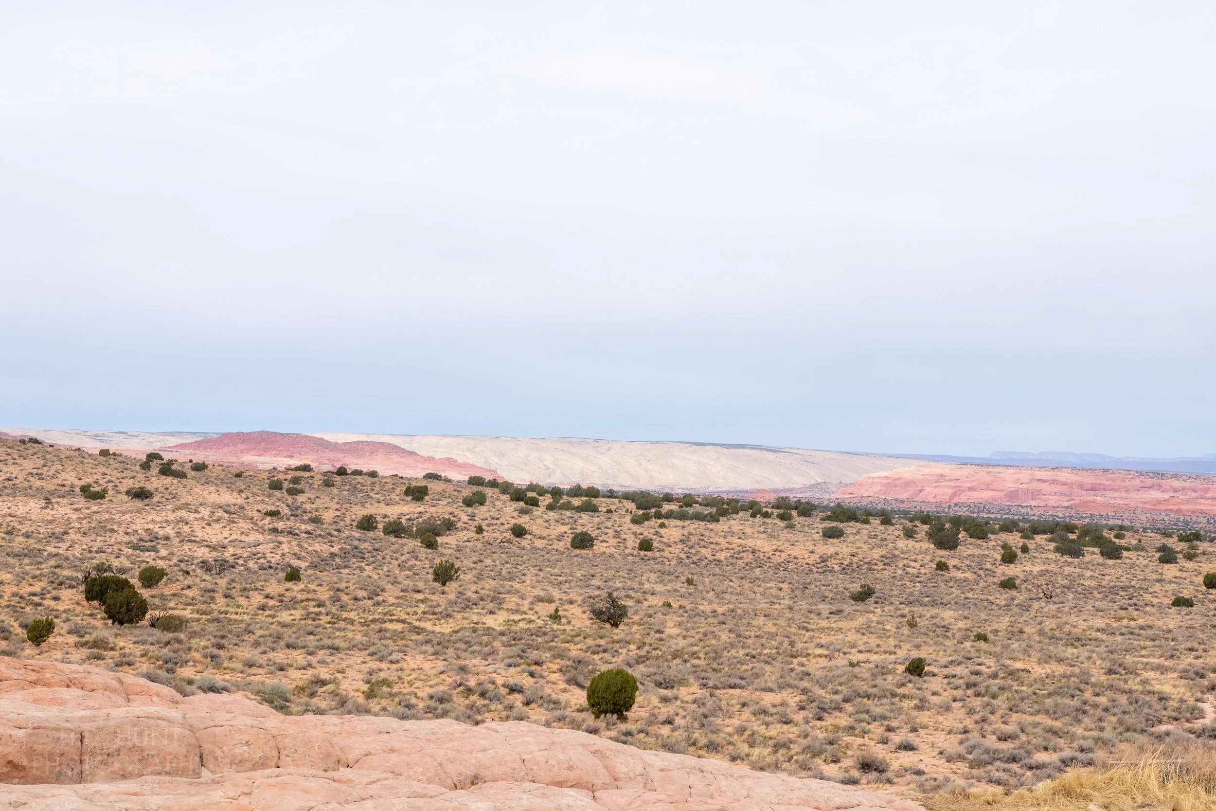 Coyote Buttes North is seen in the distance from White Pocket, Vermillion Cliffs National Monument, Arizona, United States.