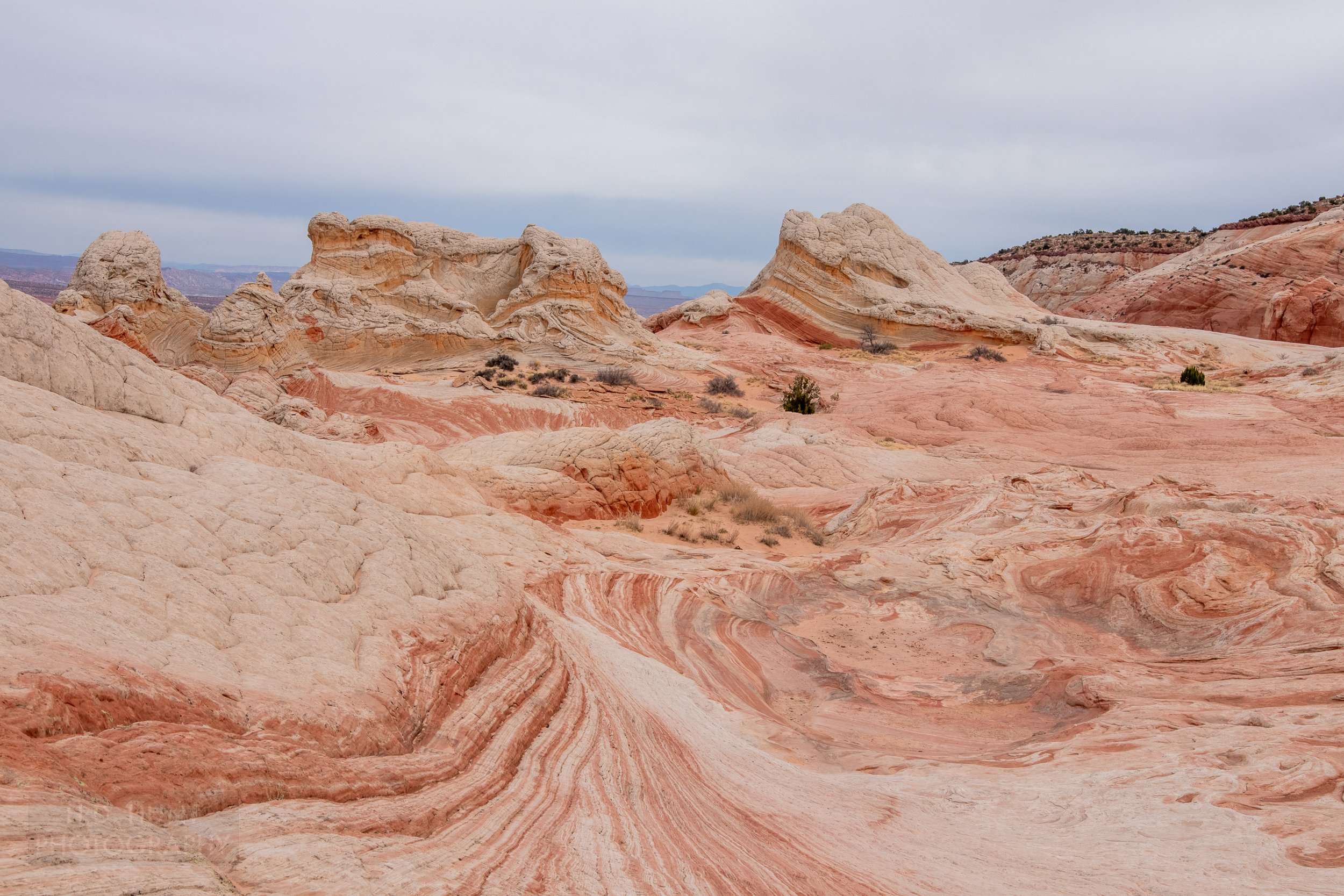 Large white rock formations rise above the desert floor comprised of striped red and white sandstone in White Pocket, Vermillion Cliffs National Monument, Arizona, United States.
