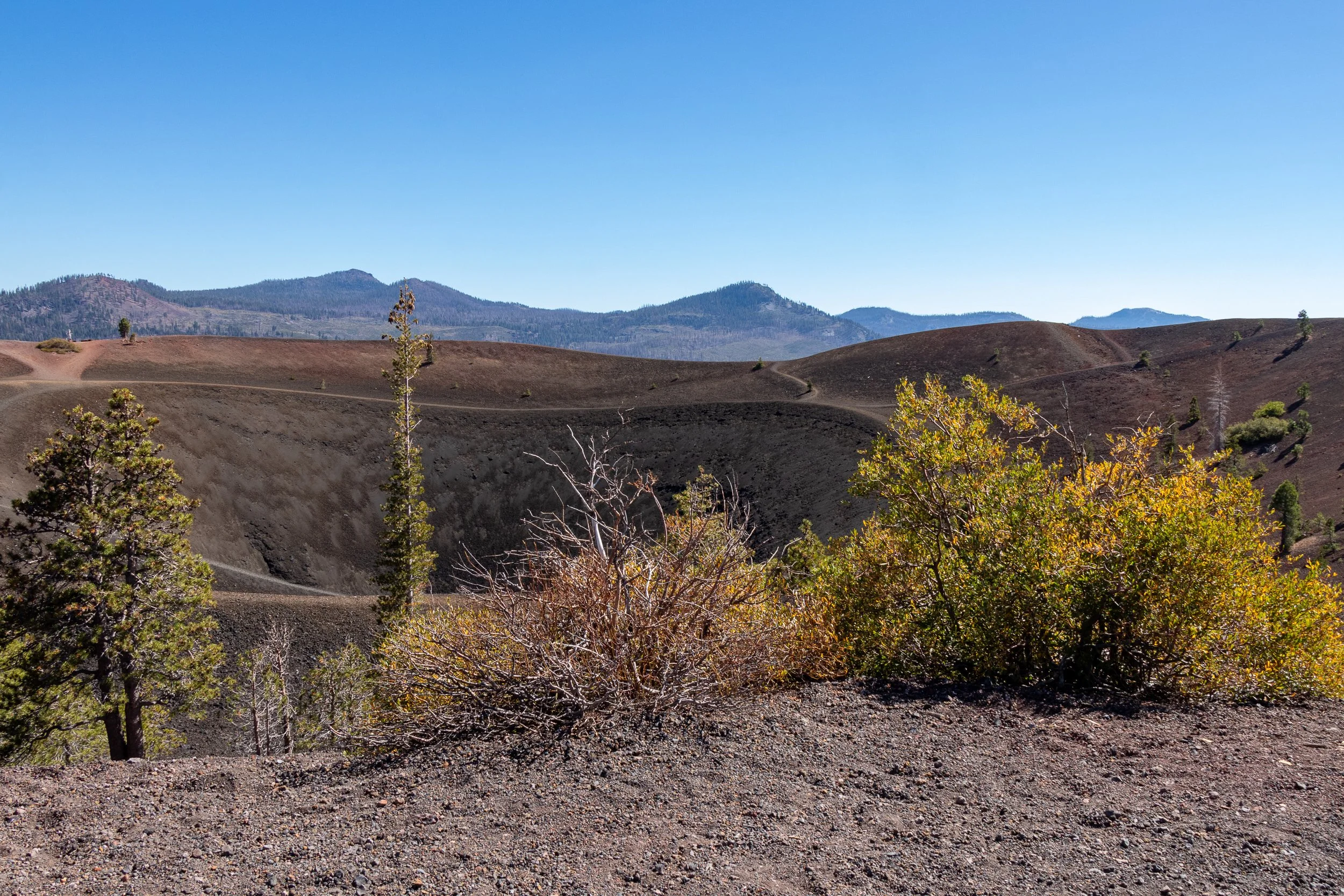 Shrubs partially block a view of the central crater of Cinder Cone, Lassen Volcanic National Park, California, United States.