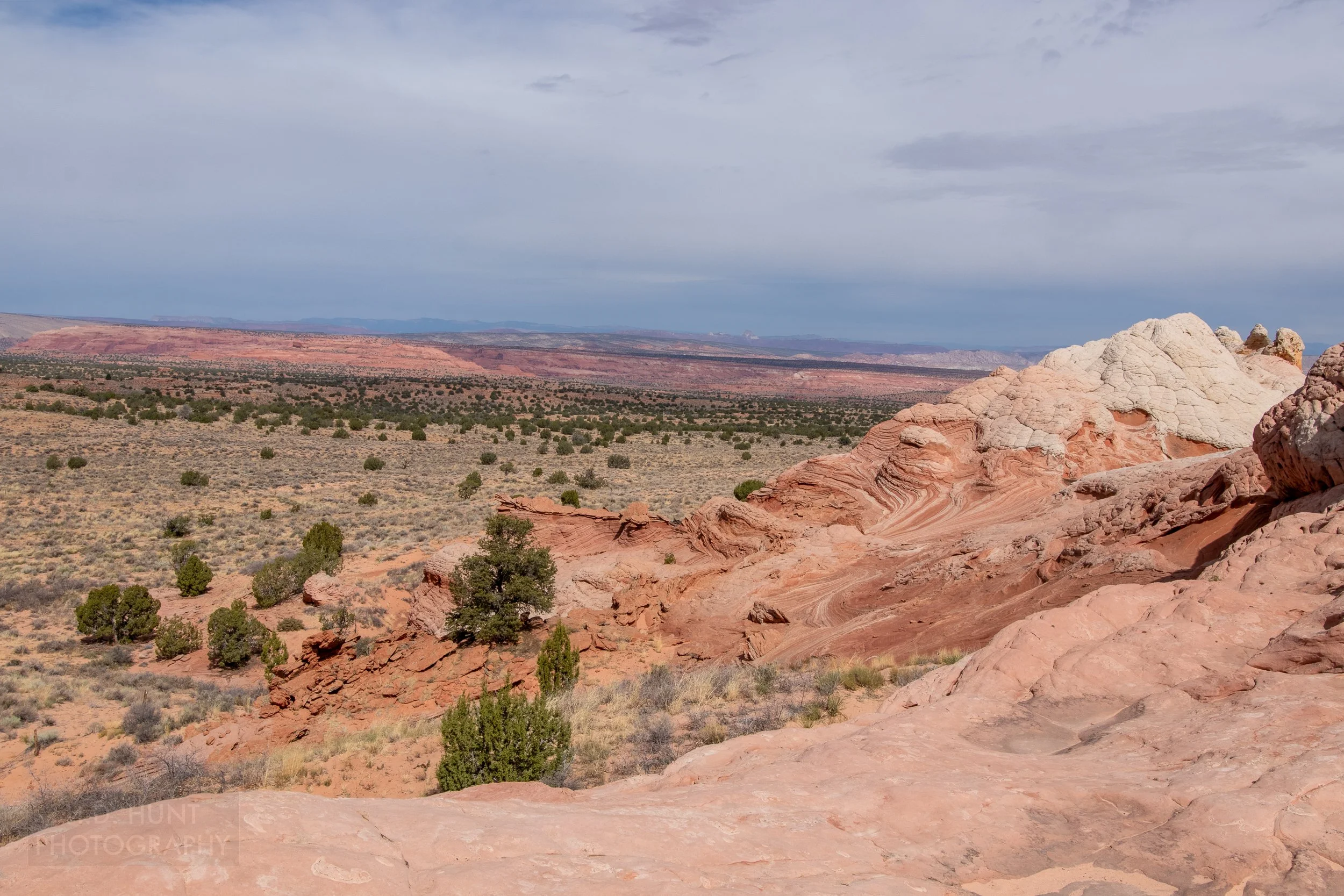 A view across the Arizona and Utah desert, as seen at White Pocket, Vermillion Cliffs National Monument, Arizona, United States.