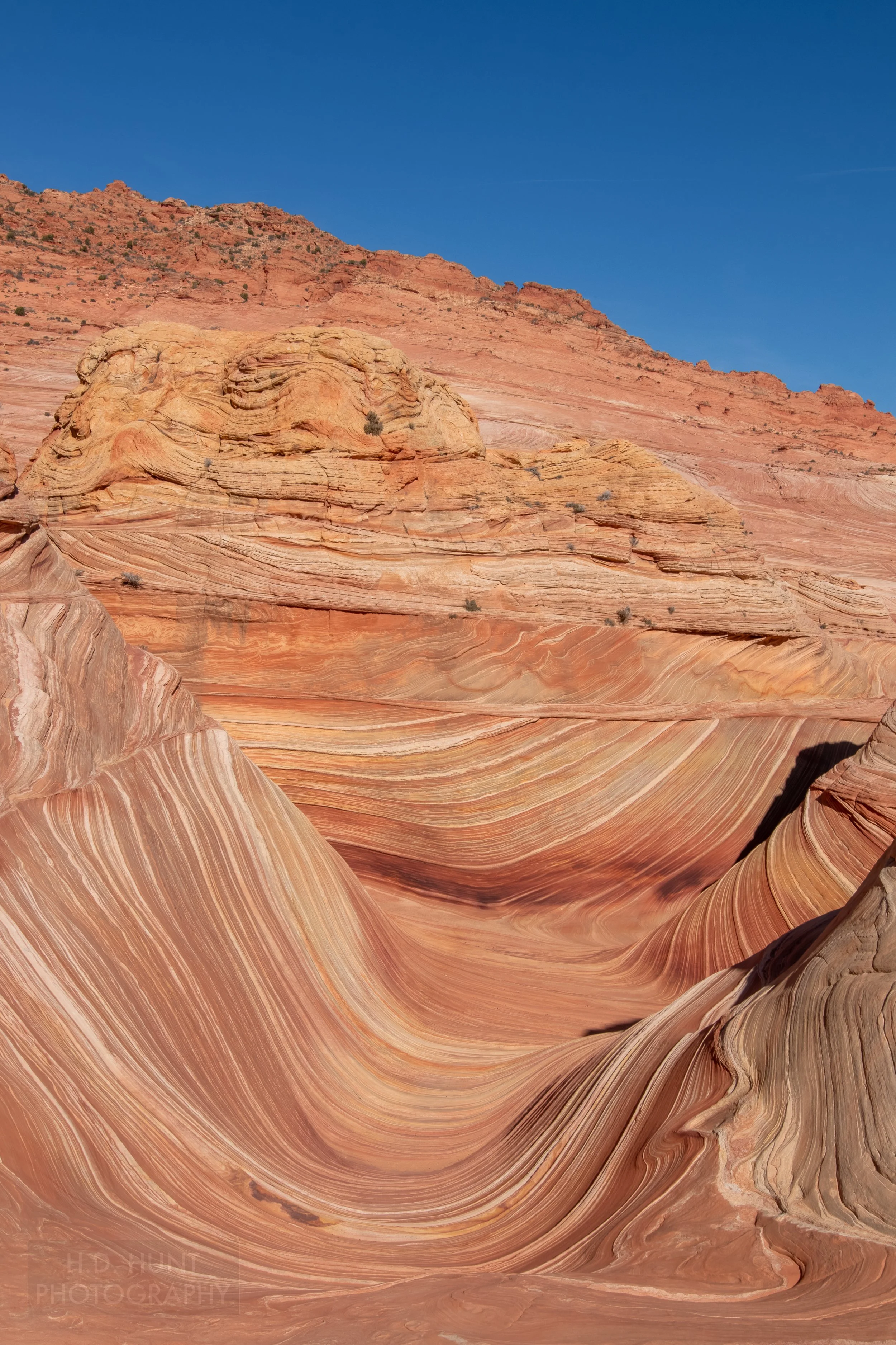 Bright stripes of red, orange, yellow, white, and tan sandstone are seen on the walls of The Wave, a u-shaped sandstone rock formation in Coyote Buttes North, Paria Canyon-Vermilion Cliffs Wilderness, Arizona, United States.