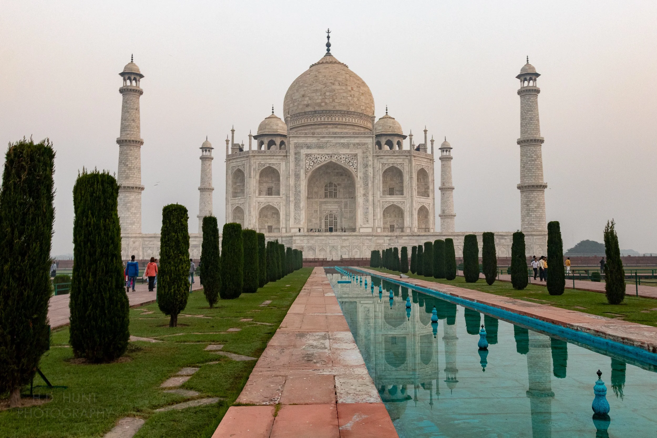 The white marble main mausoleum building of the Taj Mahal is seen in the background with tall bushes and a reflective pool in the foreground, Agra, India.