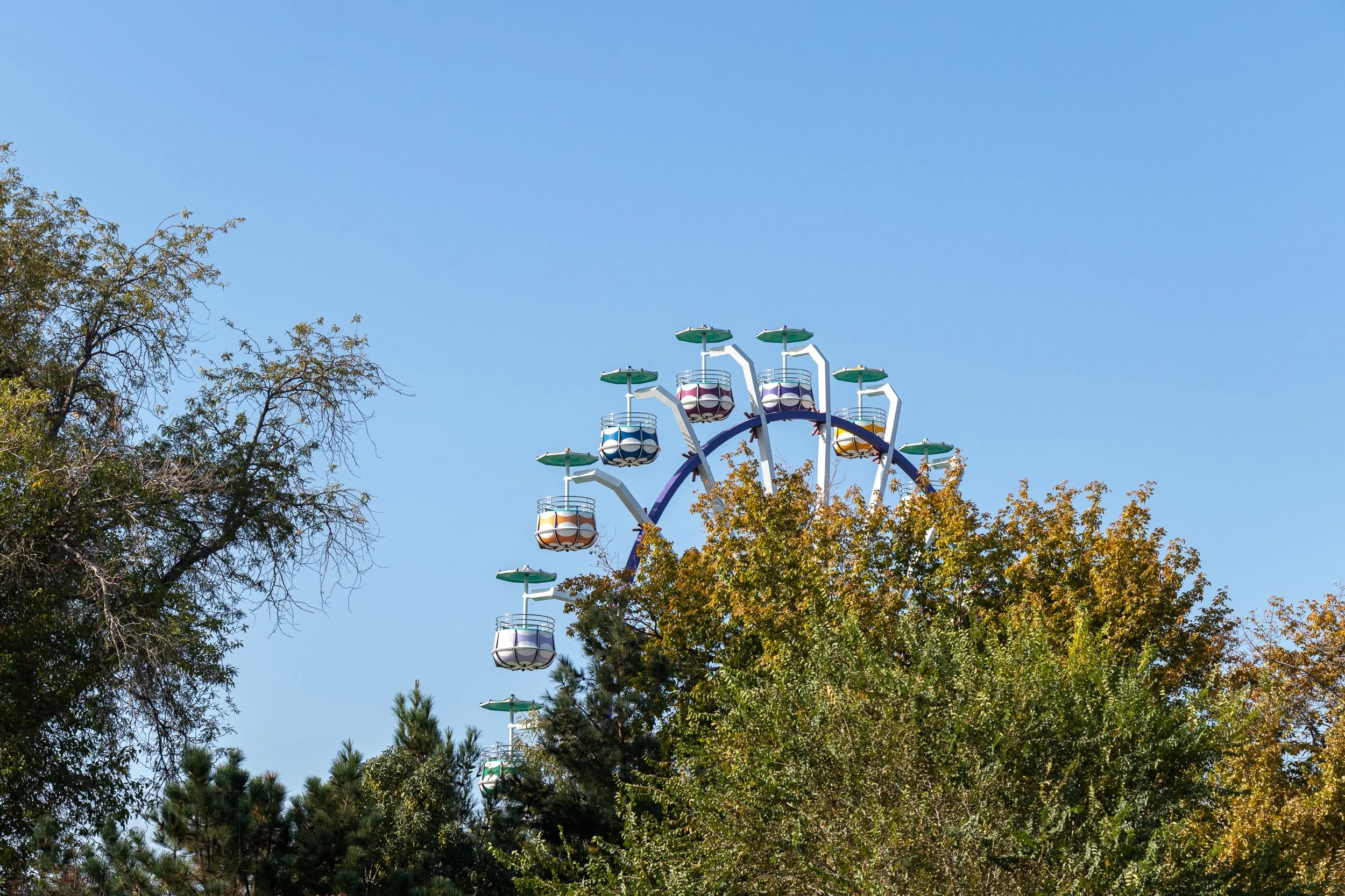 A large ferris wheel containing multiple brightly-colored round cars peeks out behind trees in Bukhara, Uzbekistan.