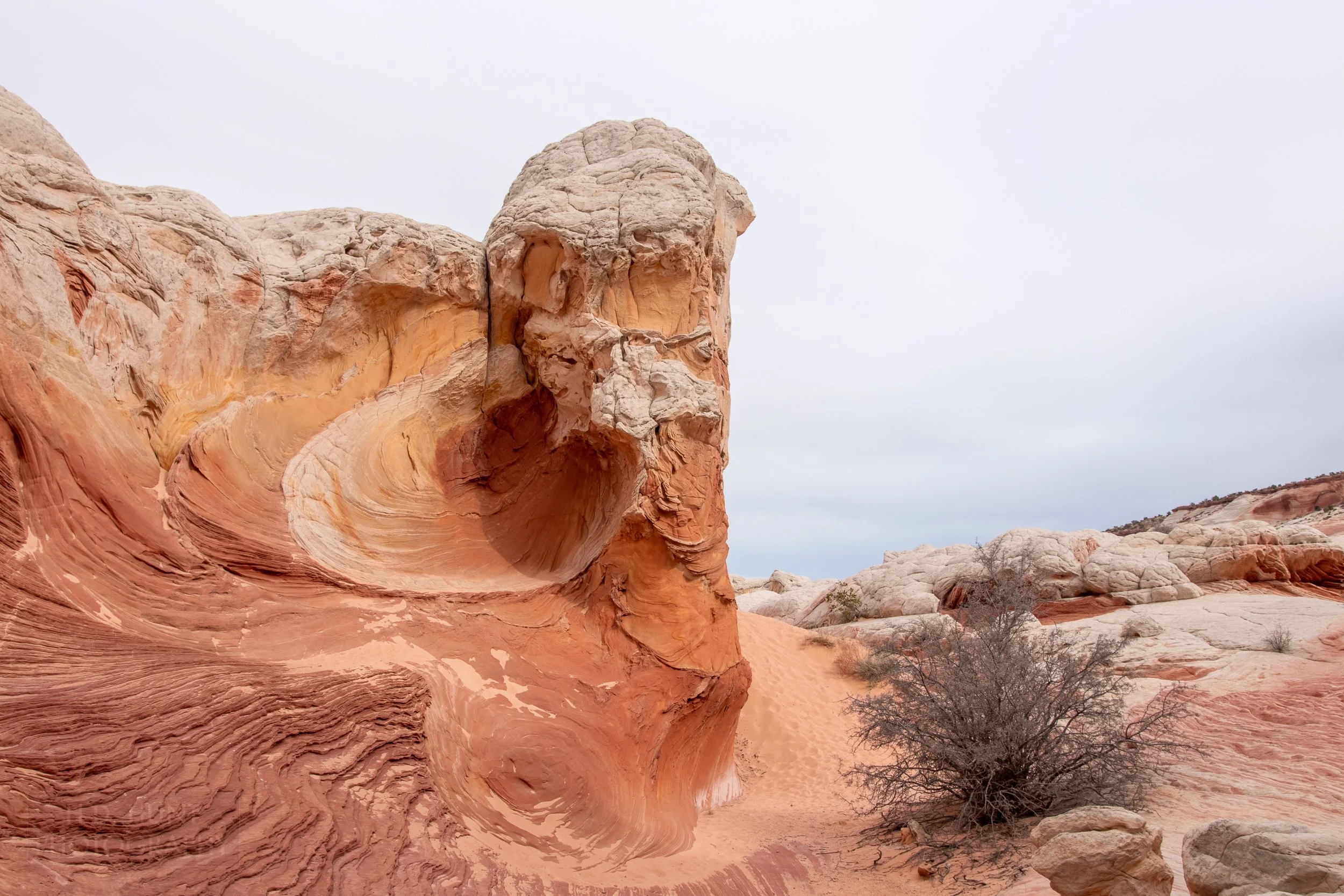A folded column of white and red rock rises above a sand desert floor, White Pocket, Vermillion Cliffs National Monument, Arizona, United States.