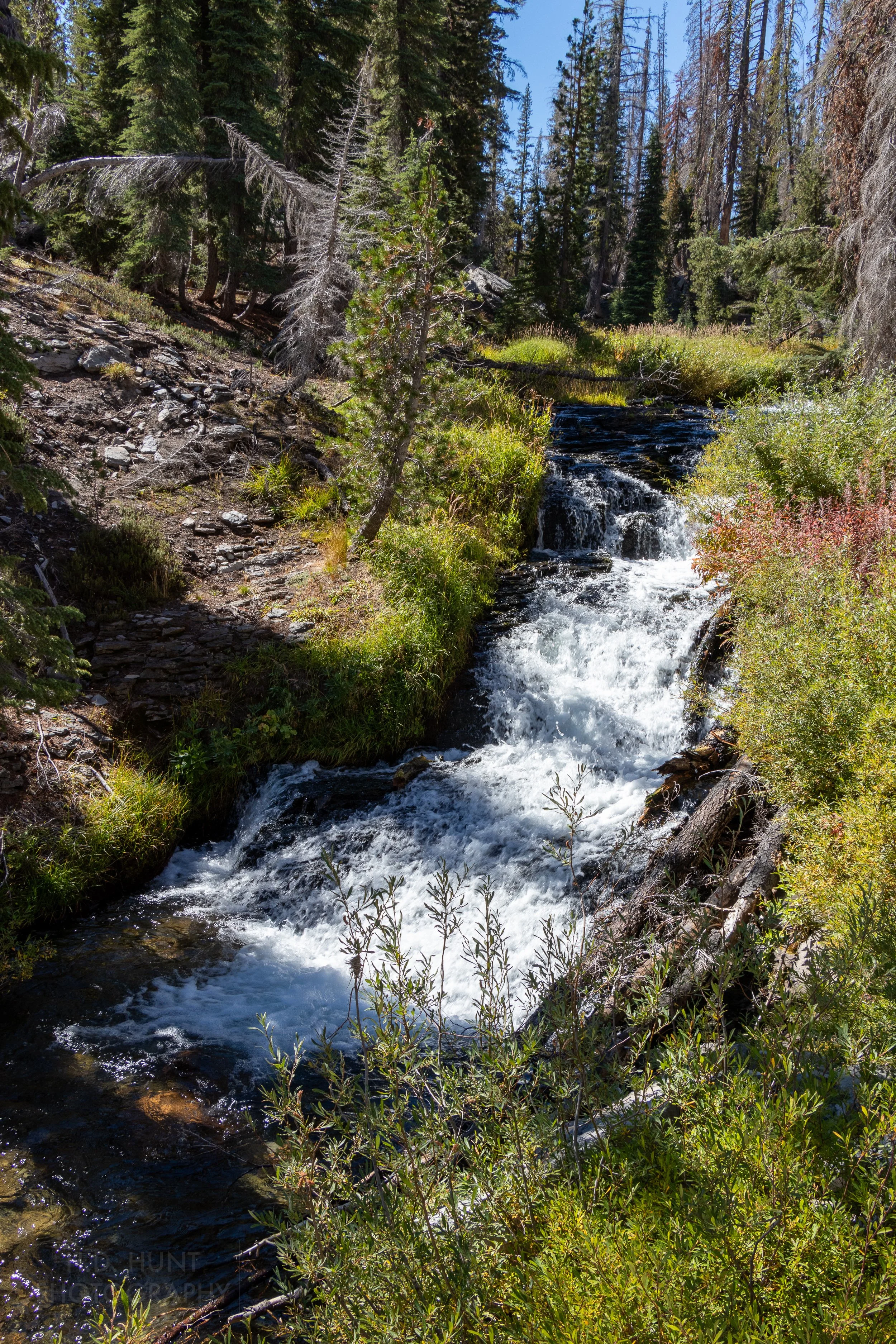 A small stream runs aggressively between riverbanks covered with green trees and shrubs, Lassen Volcanic National Park, California, United States.