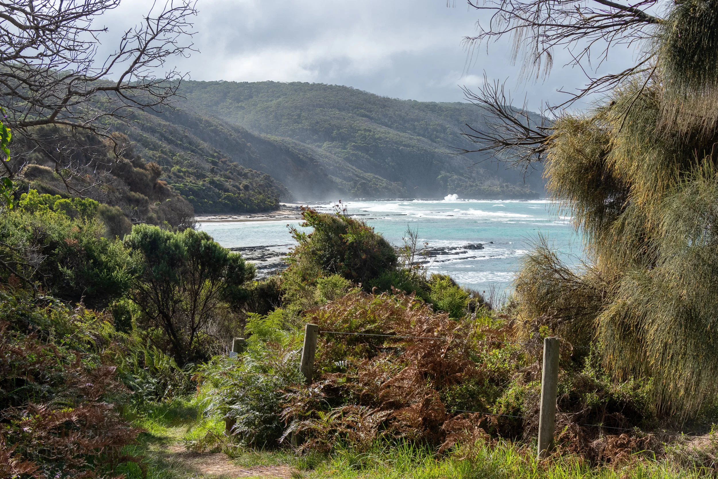Behind shrubs and trees, the Southern Ocean crashes against a beach beneath tall hills rising from Blanket Bay along the Great Ocean Walk, Victoria, Australia.