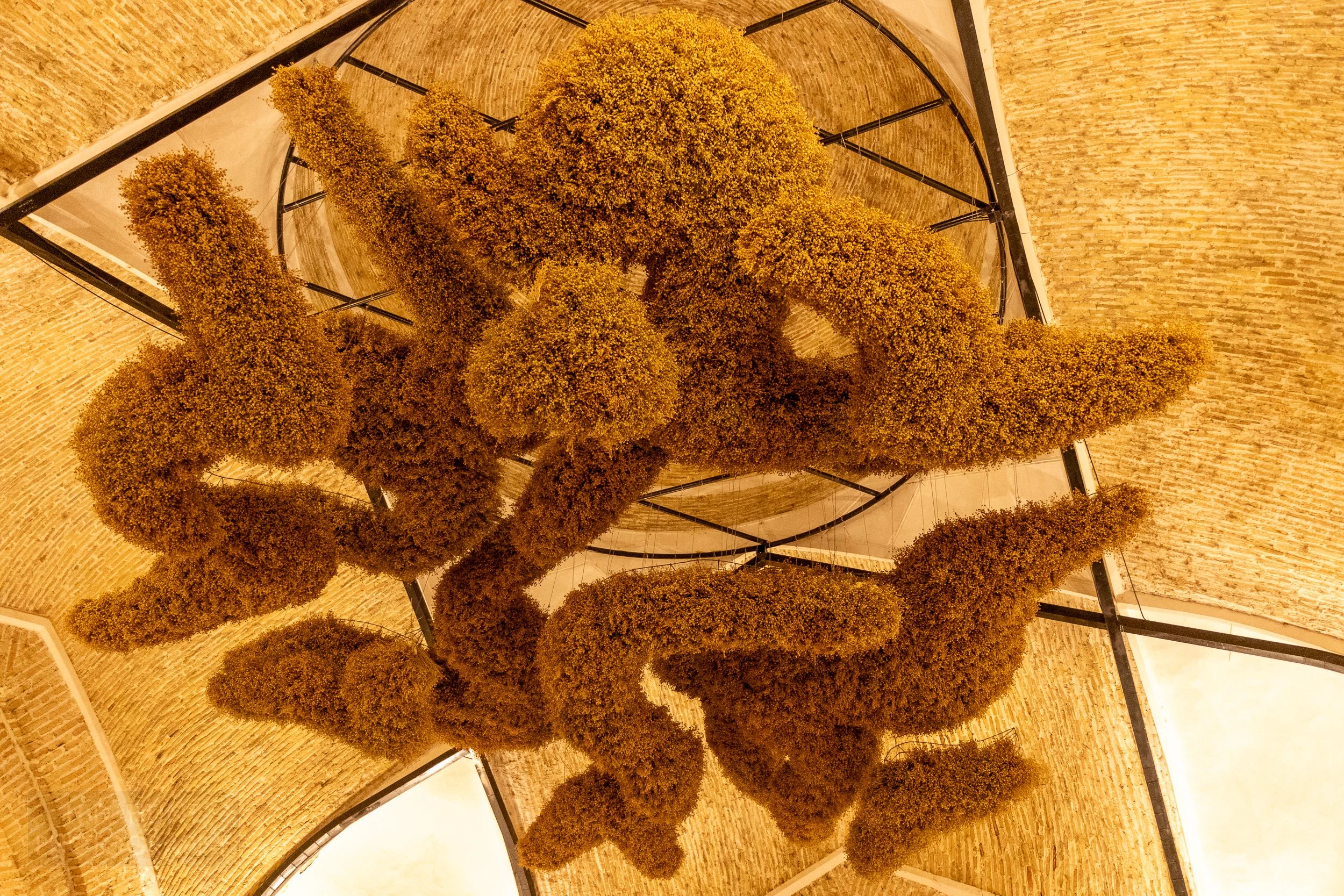 Dried flowers hang from the central dome of the Toqi Sarrofon, Bukhara, Uzbekistan.
