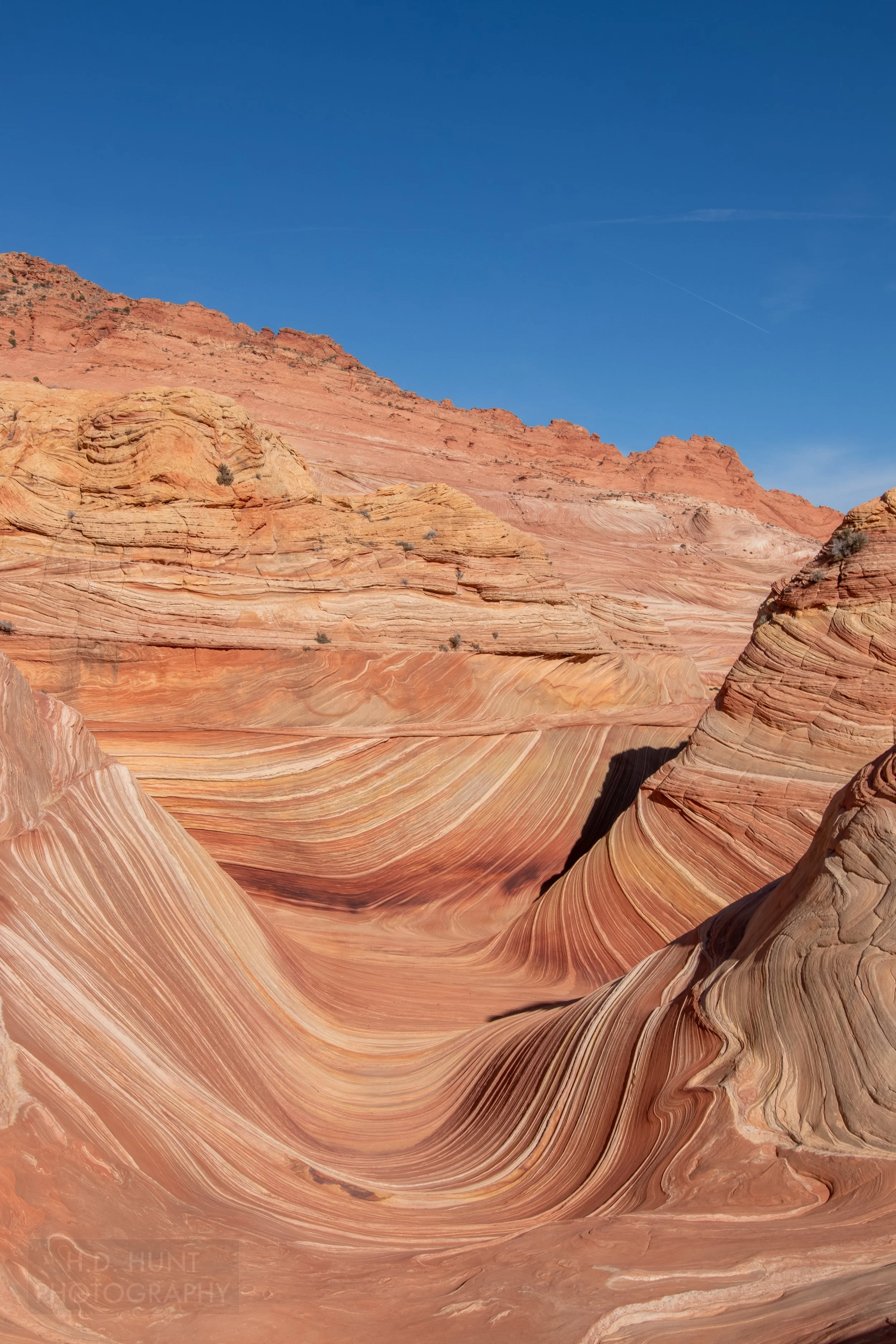 The floor and walls of The Wave, a u-shaped rock formation, are seen in Coyote Buttes North, Paria Canyon-Vermilion Cliffs Wilderness, Arizona, United States.