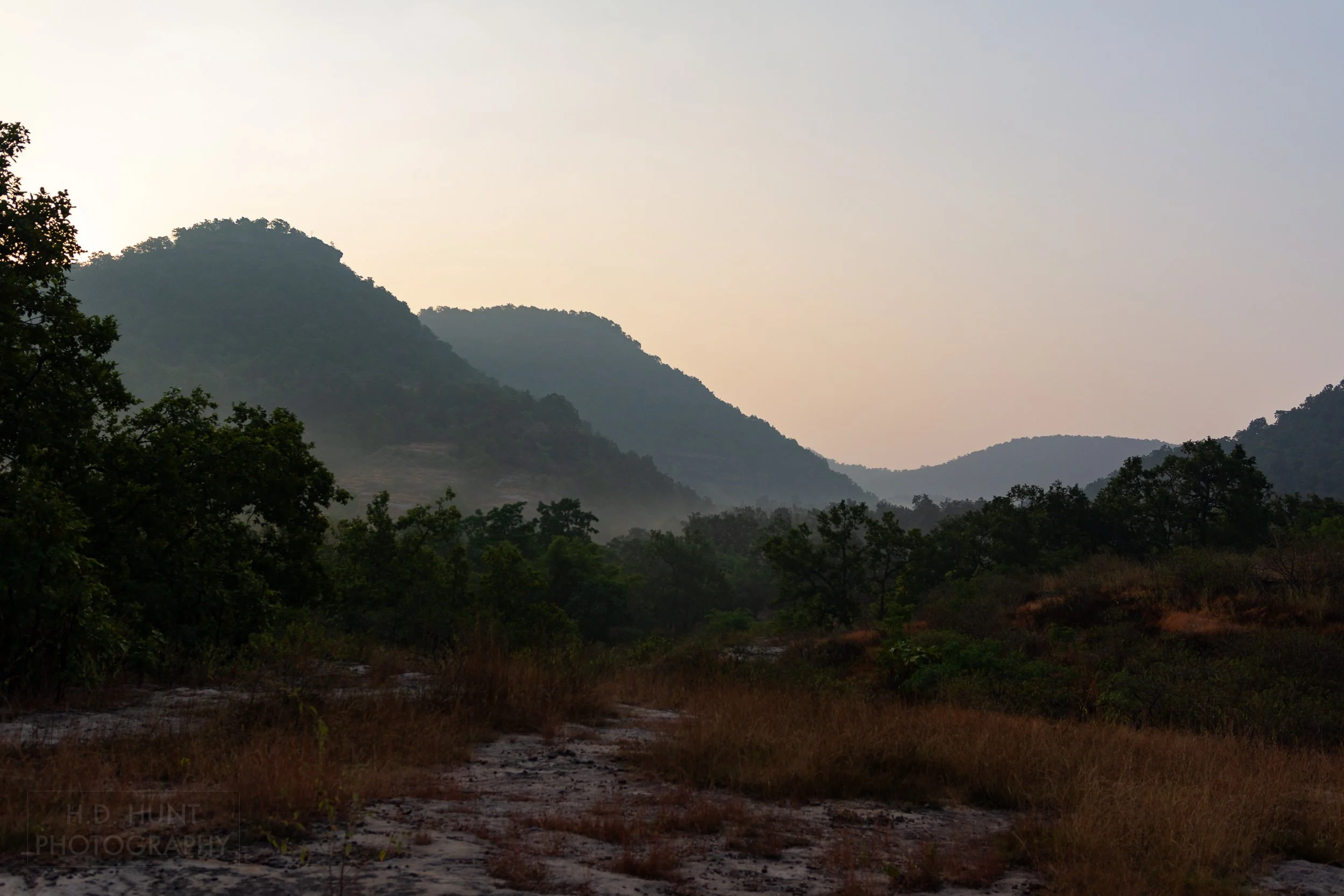 The sun rises above the rolling hills and green forests of Bandhavgarh National Park, India.