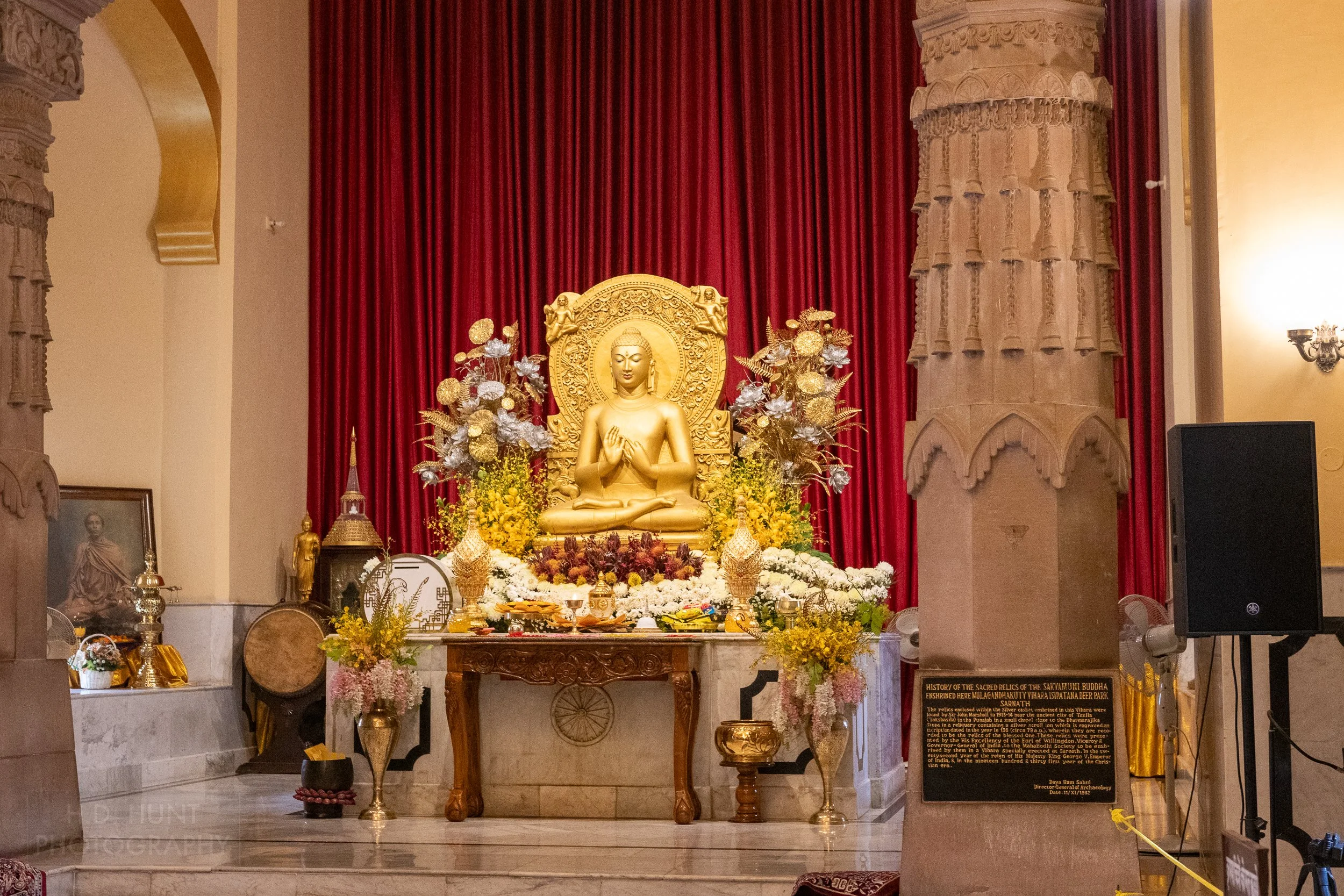 A golden Buddha statue sits on a dais, Sarnath, India.