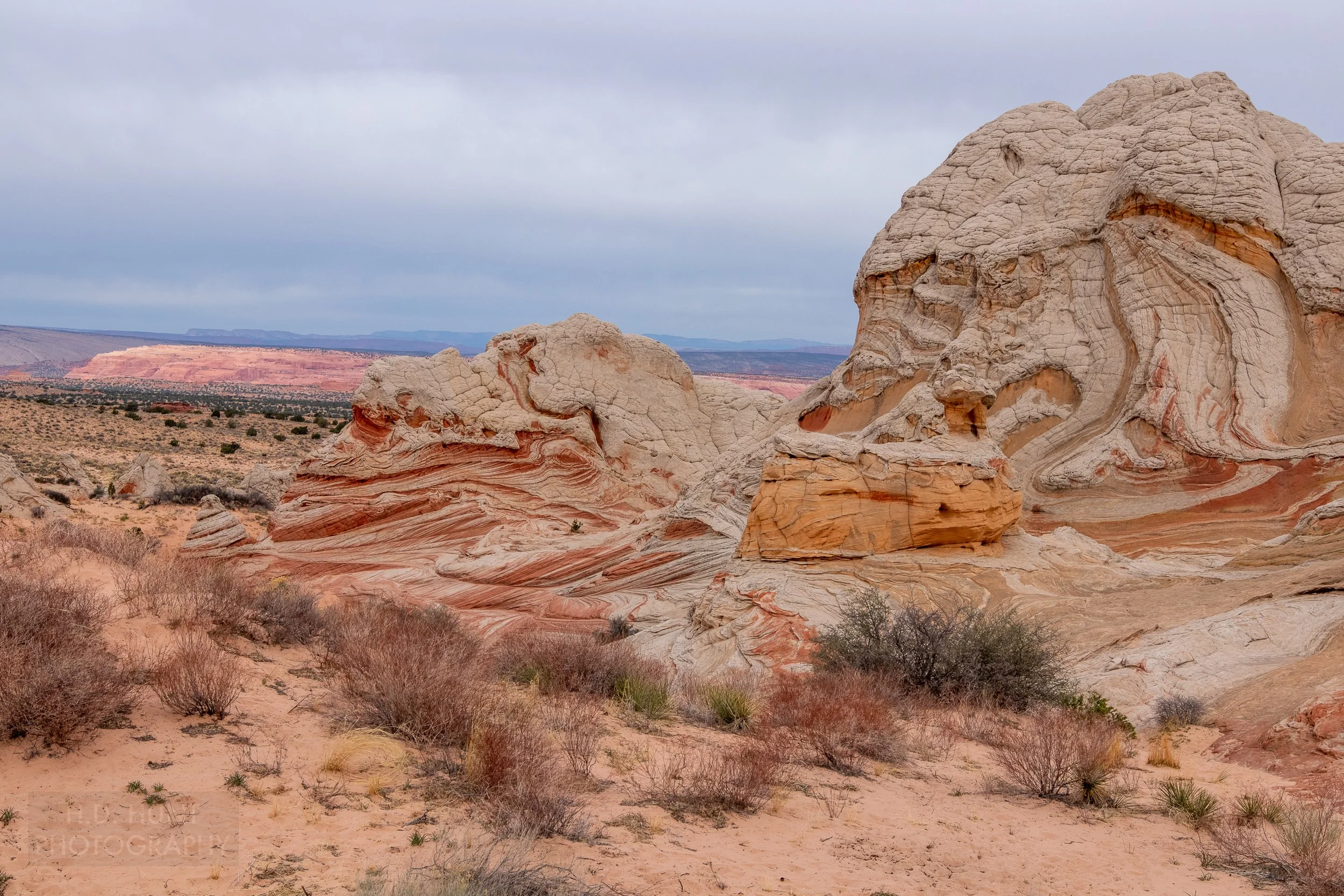 A heavily folded white rock formation is seen with multiple layers of banded red and white sandstone, White Pocket, Vermillion Cliffs National Monument, Arizona, United States.