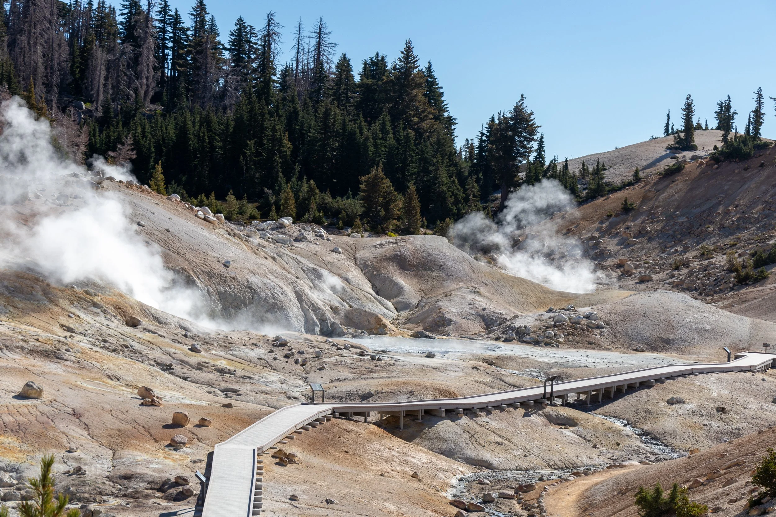 A boardwalk crosses a tan earth landscape from which multiples columns of steam rise, Bumpass Hell, Lassen Volcanic National Park, California, United States.