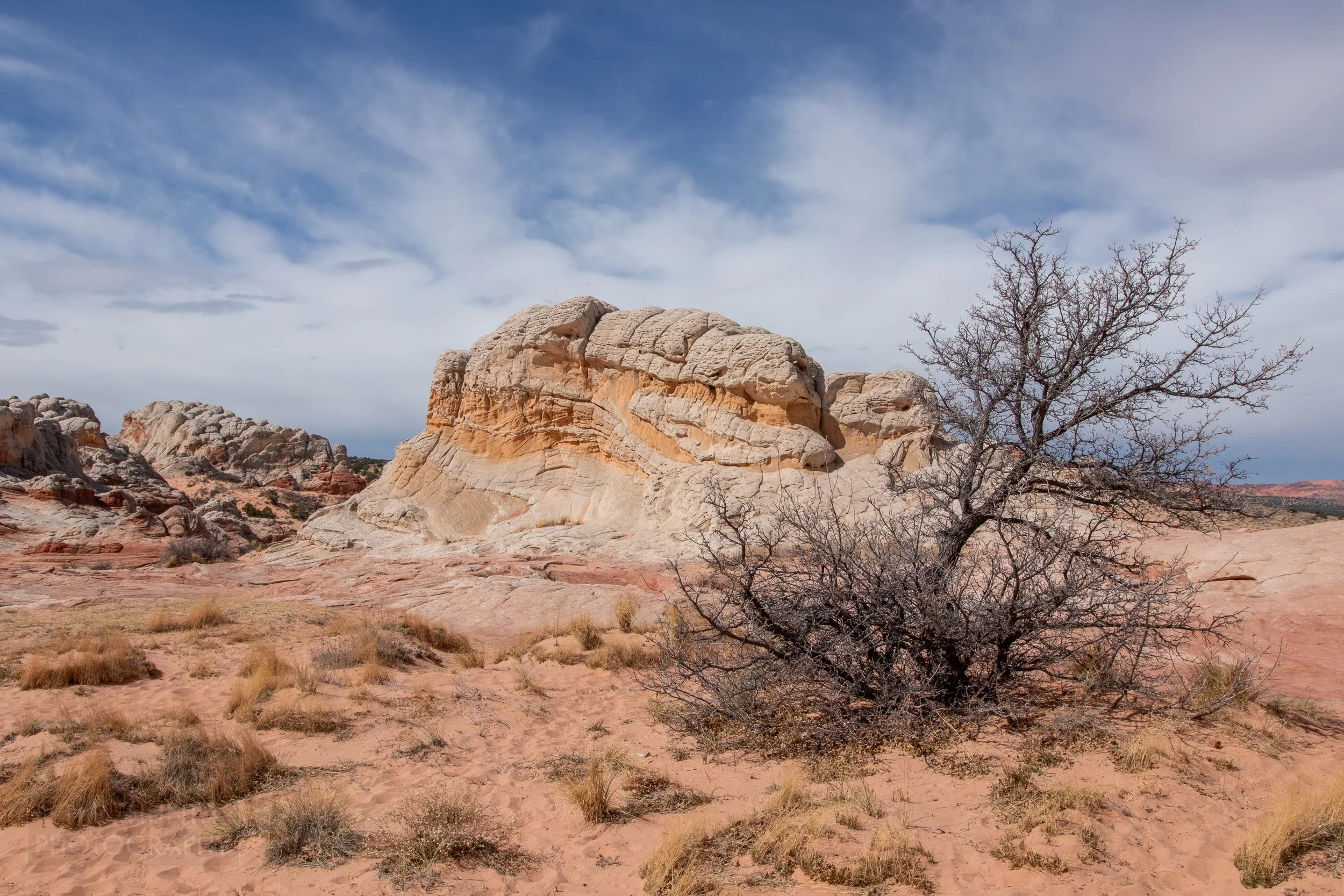 A block of deformed and folded white rock rises above the desert floor in White Pocket, Vermillion Cliffs National Monument, Arizona, United States.