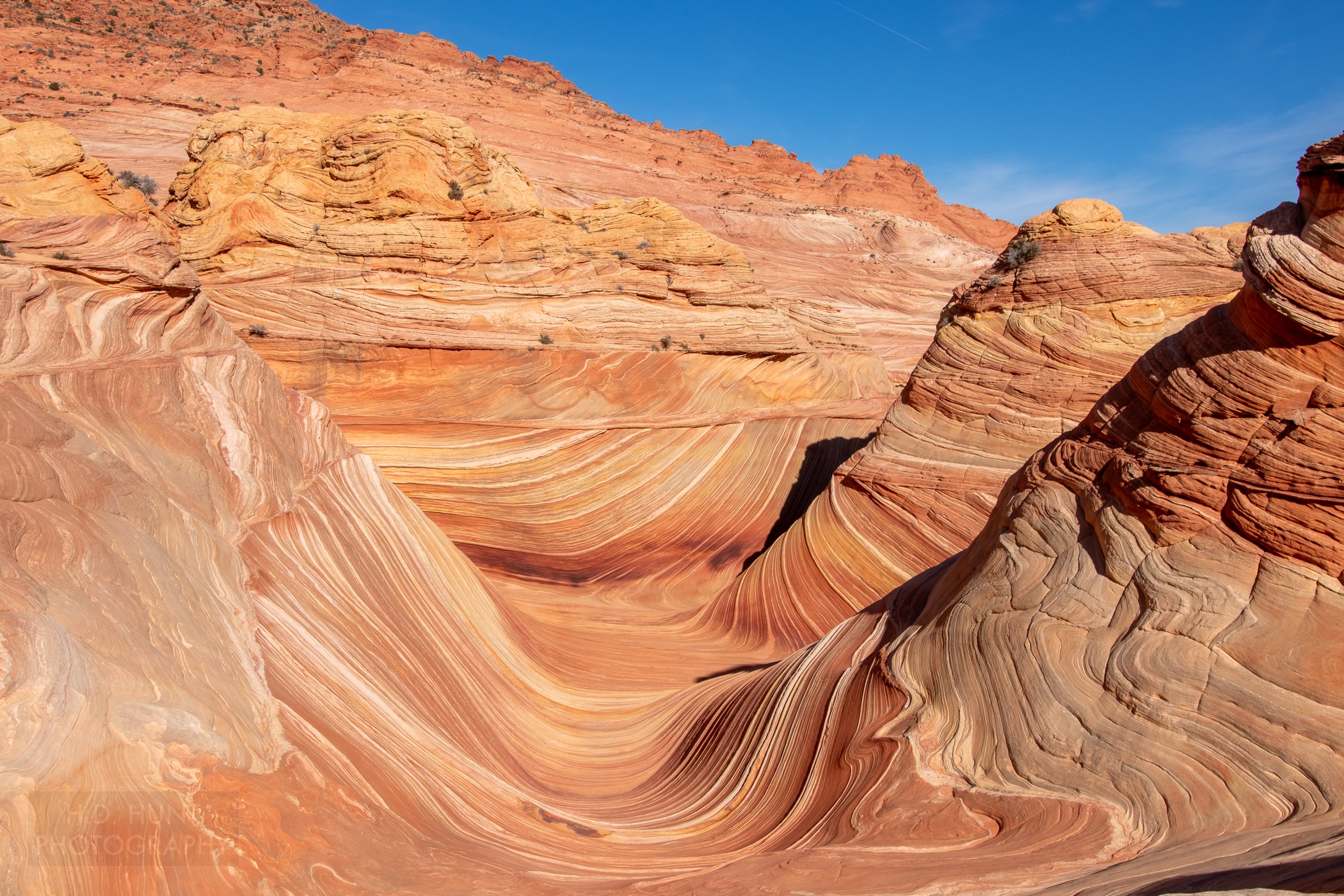 The deep orange, yellow, red, tan, and white stripes of The Wave, a bowl-shaped rock formation in Coyote Buttes North, Paria Canyon-Vermilion Cliffs Wilderness, Arizona, United States.