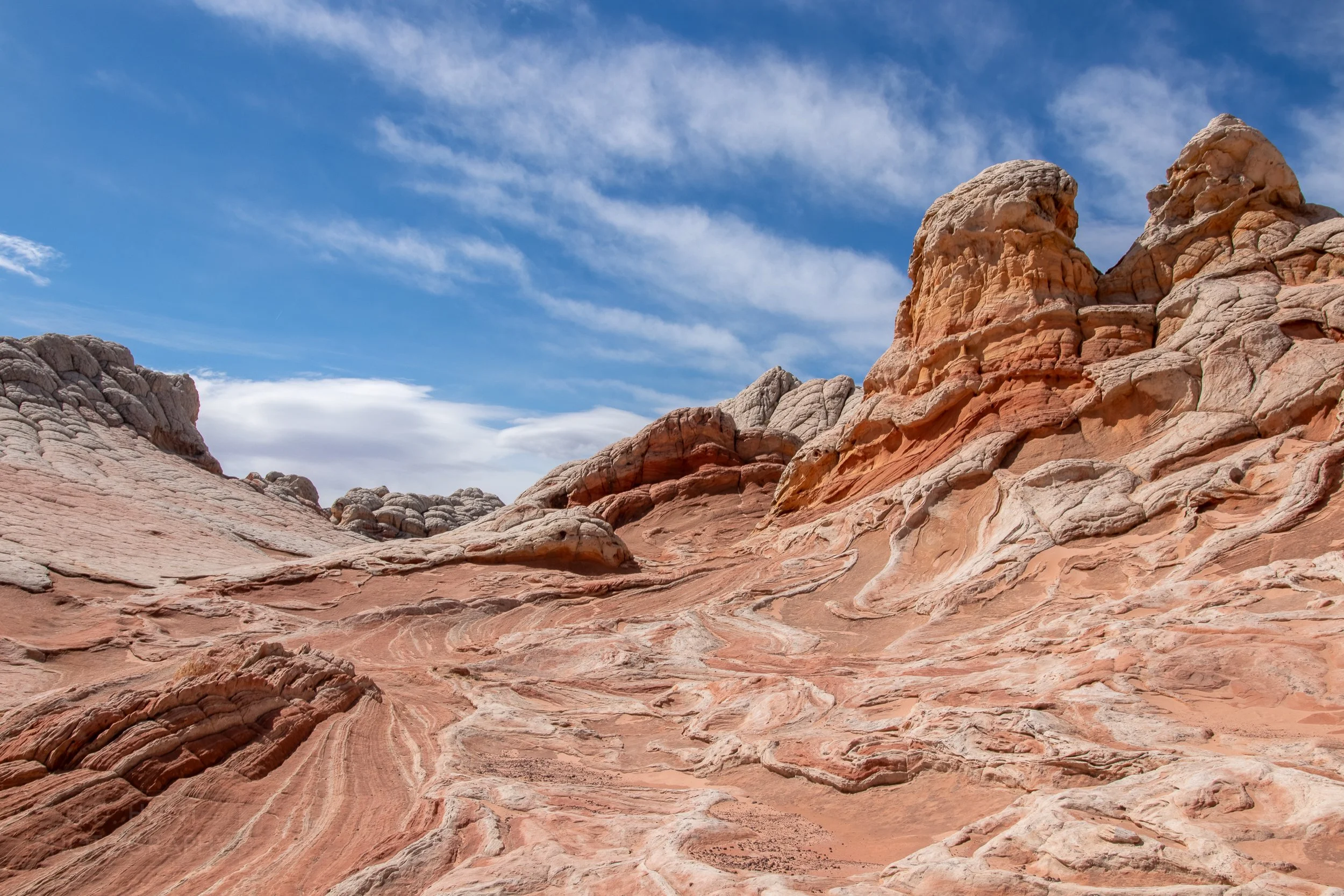 Heavily deformed and folded white and red sandstone sits in an earth bowl within White Pocket, Vermillion Cliffs National Monument, Arizona, United States.