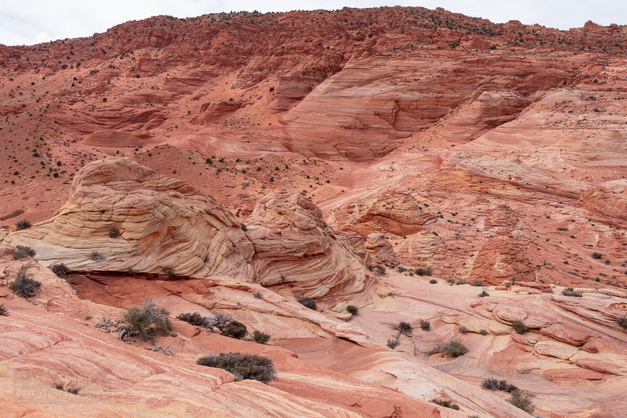 Heavily-deformed red sandstone is seen rising from a dry stream bed in Coyote Buttes North, Paria Canyon-Vermilion Cliffs Wilderness, along the Arizona-Utah border, United States.