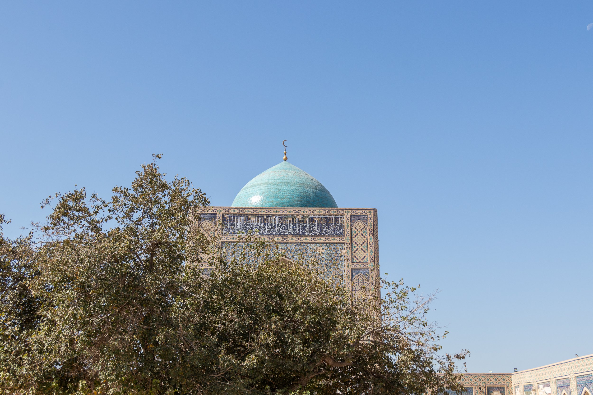 The large blue dome of the Kalan Mosque peaks out from behind a tree, Bukhara, Uzbekistan.