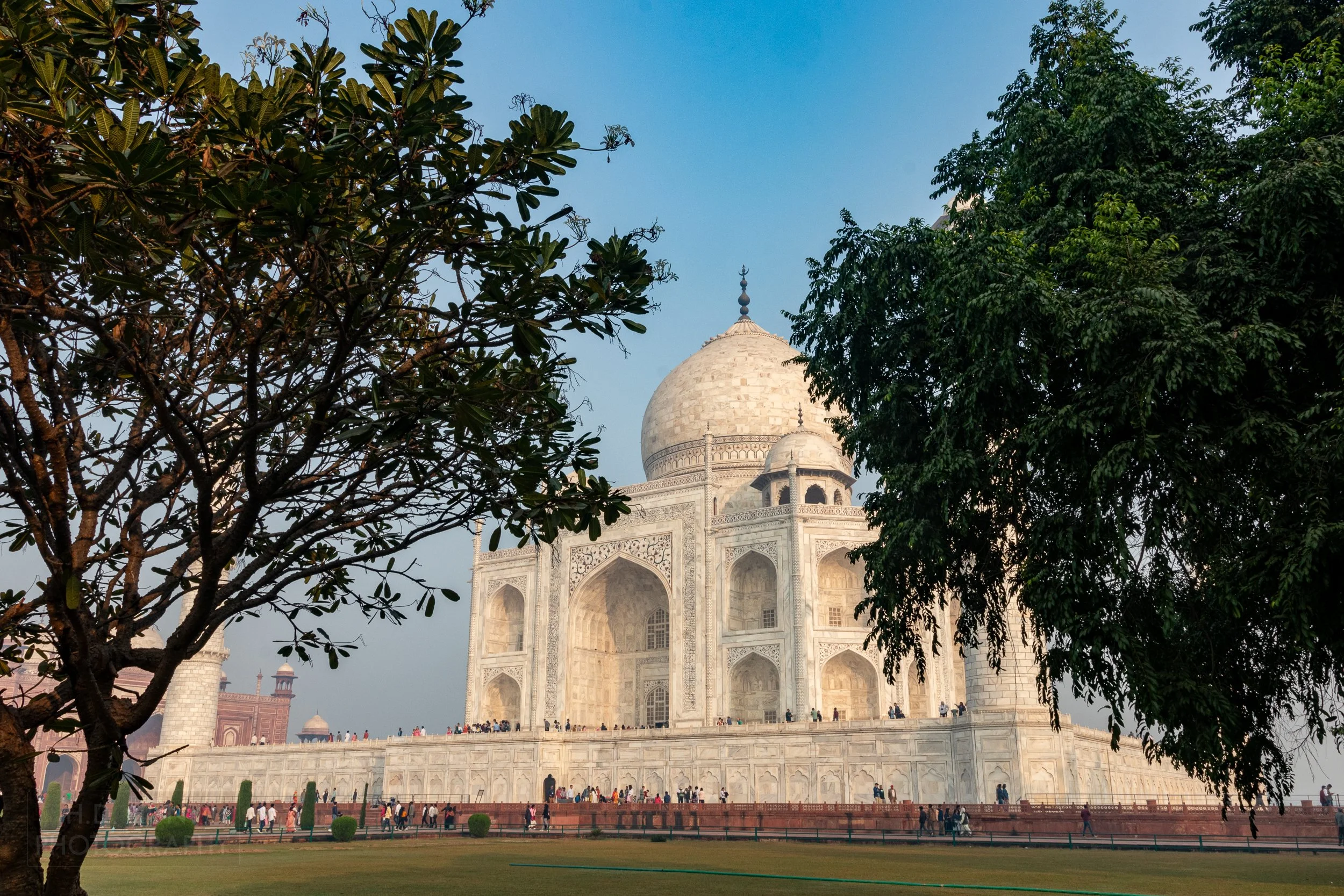 The white marble mausoleum building of Taj Mahal is seen behind two trees, Agra, India.