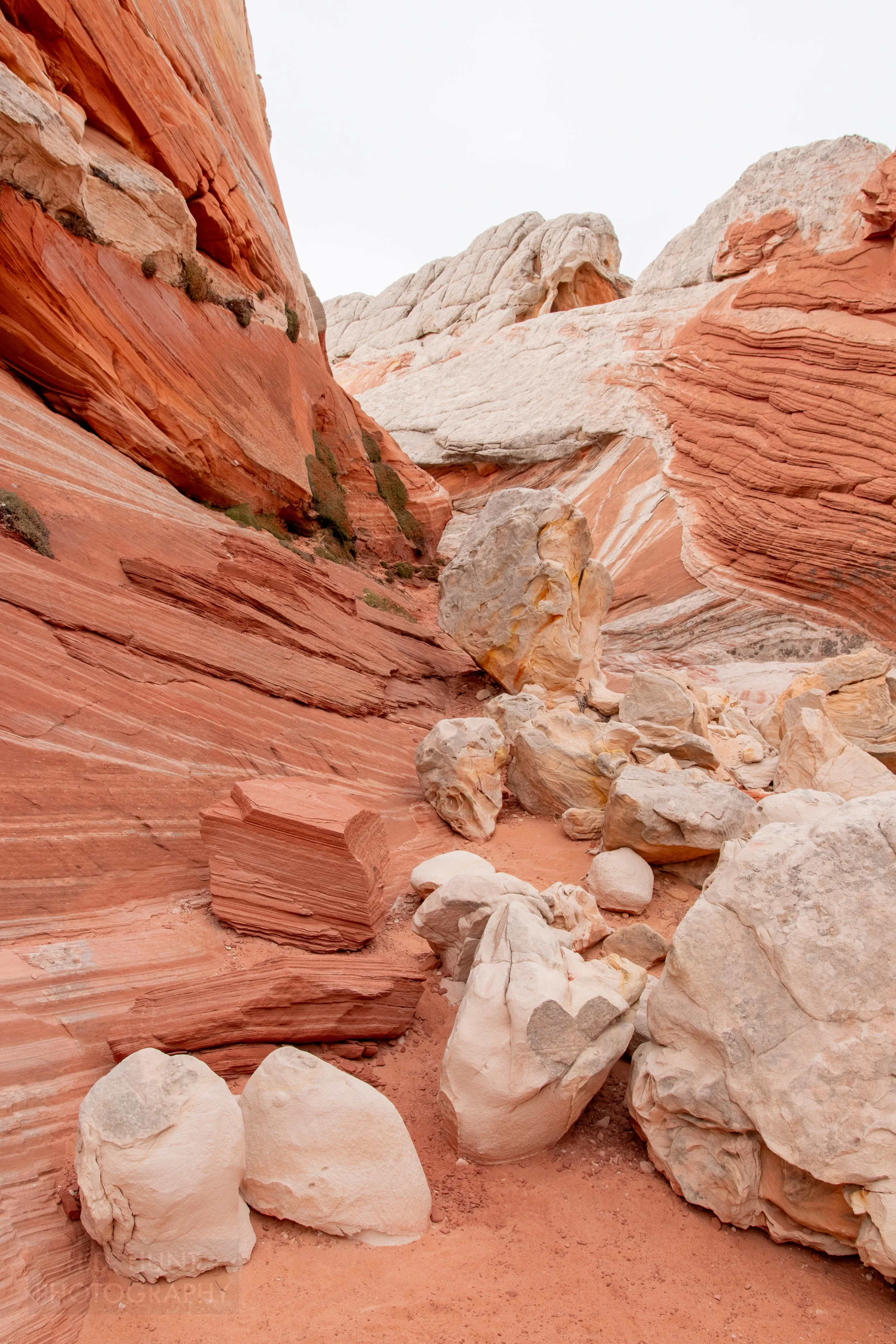 Large white boulders and chunks of heavily banded red sandstone sit on the ground at the end of a small canyon in White Pocket, Vermillion Cliffs National Monument, Arizona, United States.