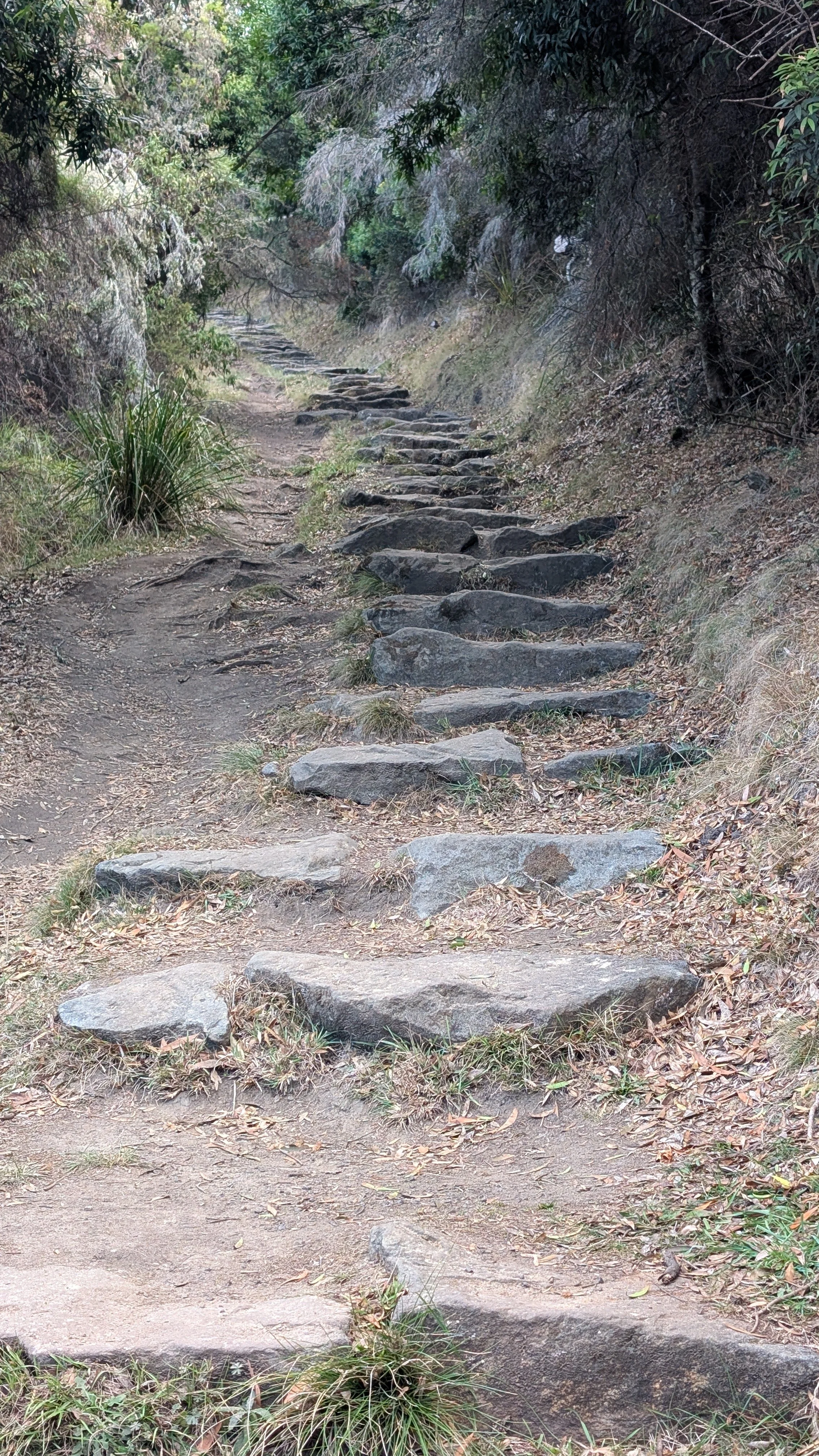 The large stone steps above Parker Inlet, Victoria, Australia.