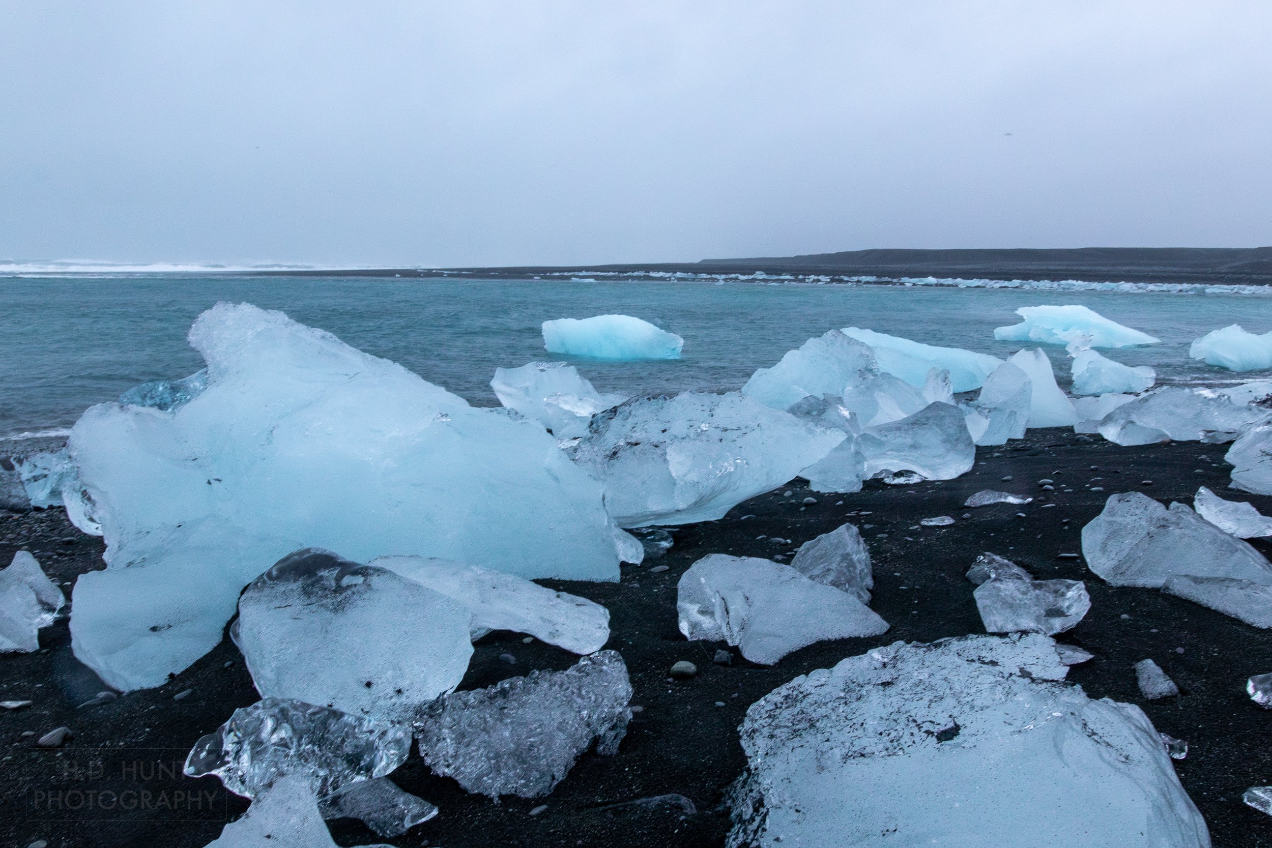 Large blocks of clear glacier ice sit on a dark black sand beach, Diamond Beach, Iceland.