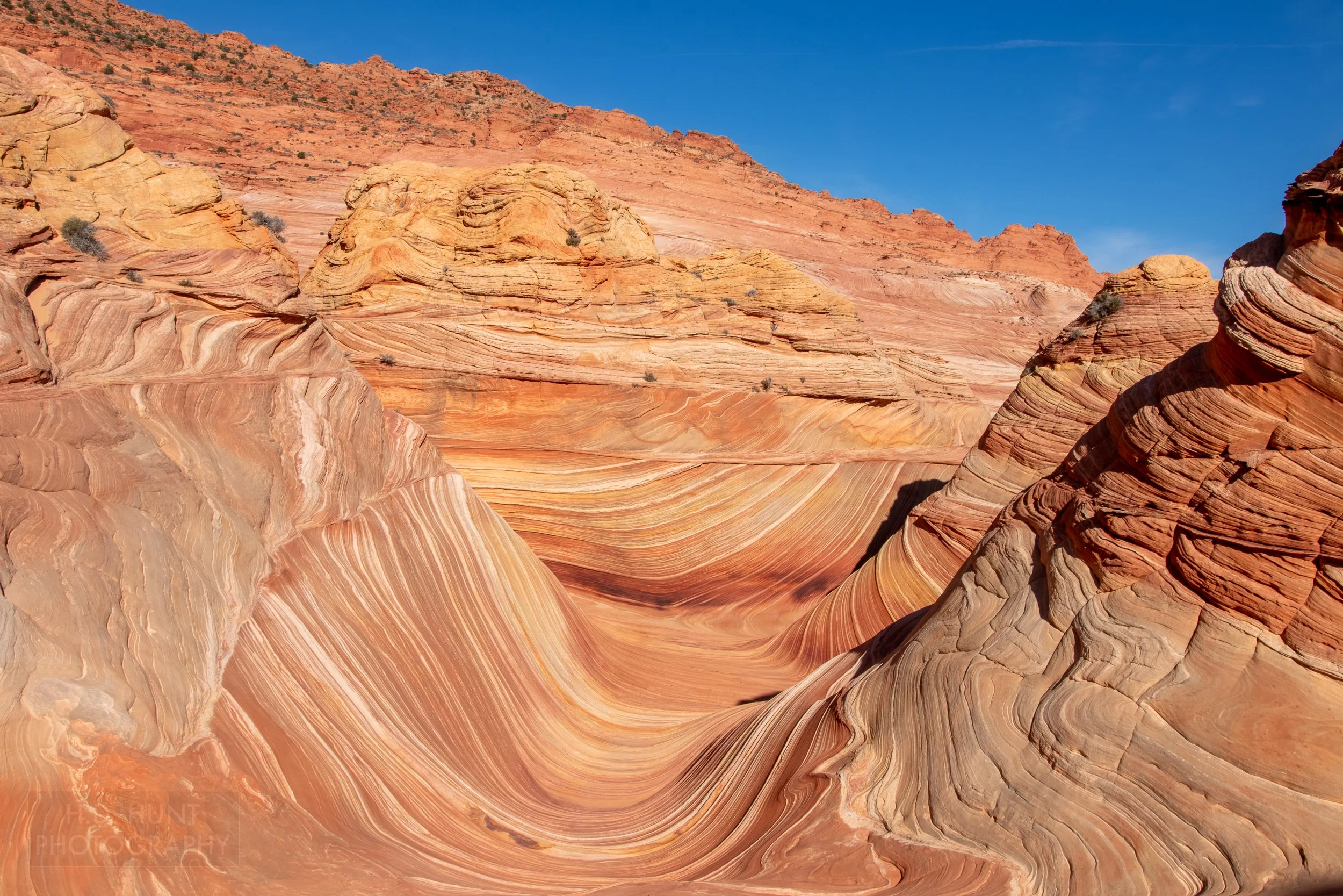 Bright stripes or red, orange, tan, and white are seen on the floor of The Wave, a bowl-shaped sandstone rock formation in Coyote Buttes North, Paria Canyon-Vermilion Cliffs Wilderness, Arizona, United States.