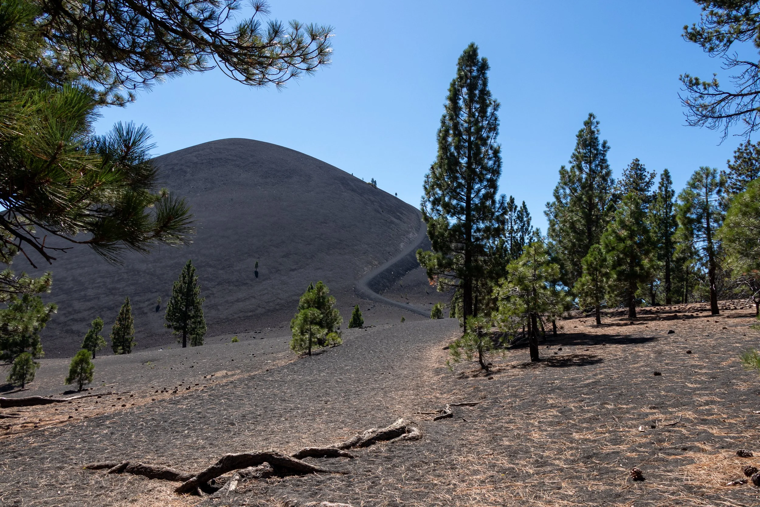 The black mound of Cinder Cone volcano rises above a black earth floor in Lassen Volcanic National Park, California, United States.