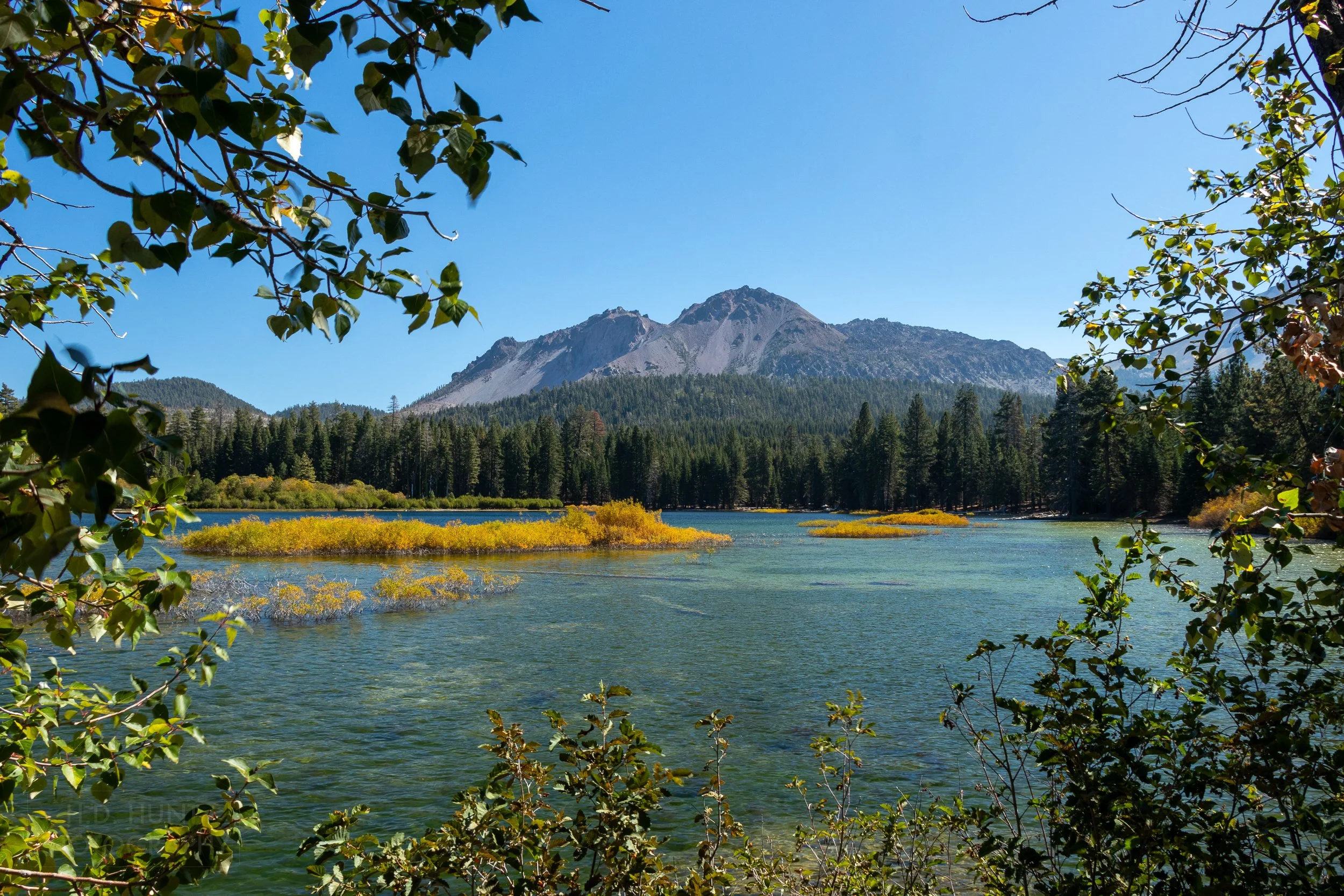 Rocky mountains - the Chaos Crags - rise behind a blue lake with yellow grasses growing from it, Lassen Volcanic National Park, California, United States.
