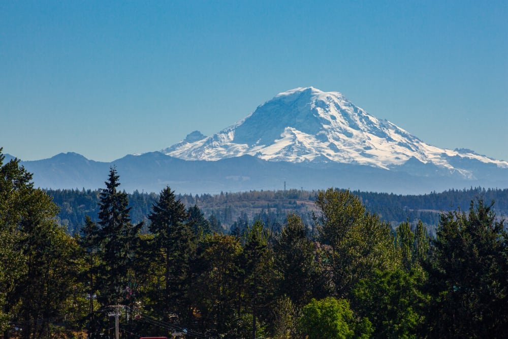 View of Mt. Rainier from The Verge.jpg