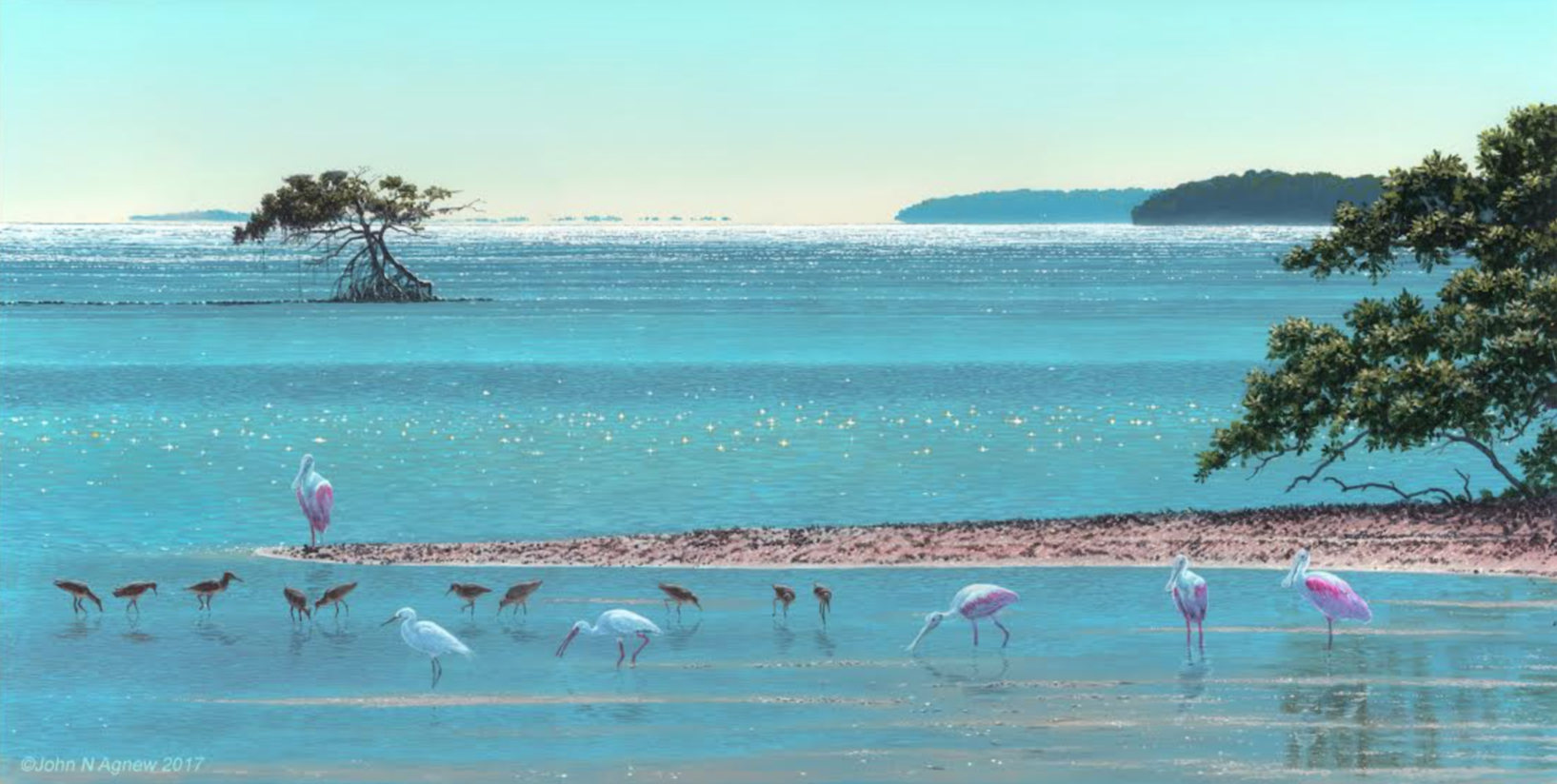 JOHN H. AGNEW, HIGH NOON ON FLORIDA BAY ACRYLIC ON PANEL, 12 IN. X 24 IN.