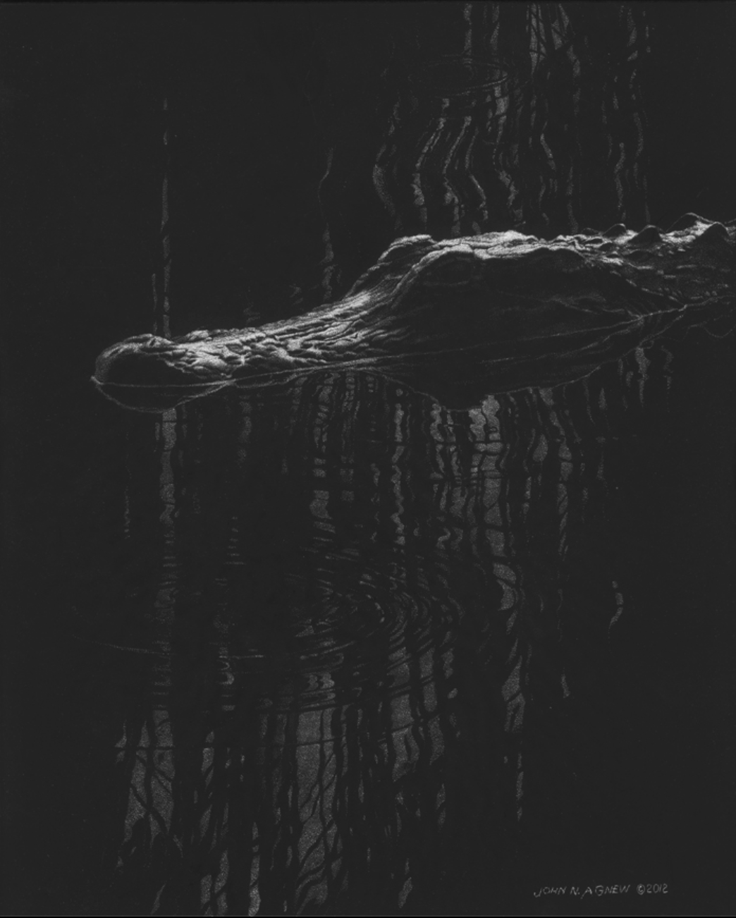 JOHN H. AGNEW, GATOR REFLECTIONS SCRATCHBOARD, 12 IN. X 9IN.