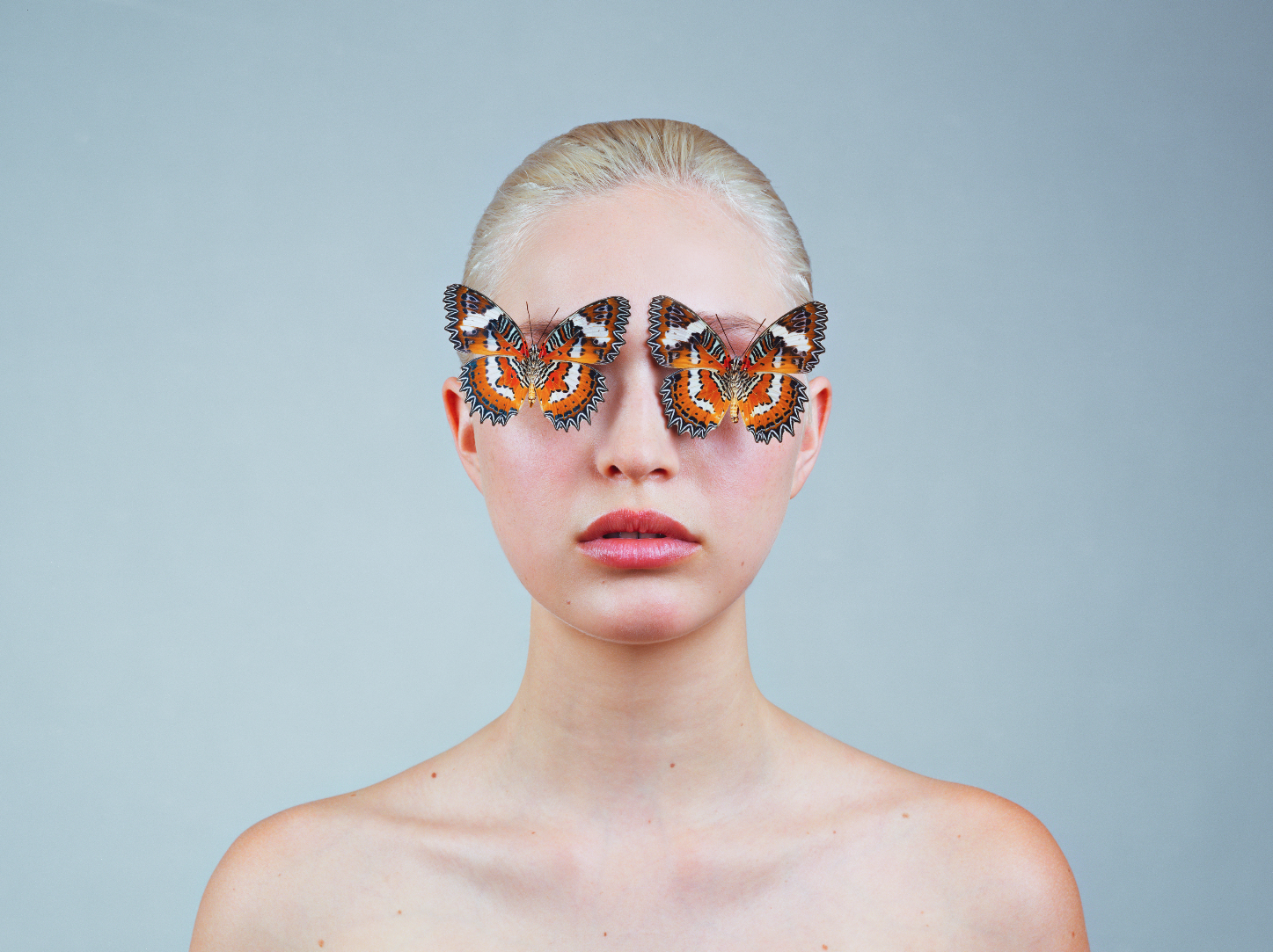 TYLER SHIELDS, Butterflies Digital Chromogenic Print, 40 in. x 32 in.