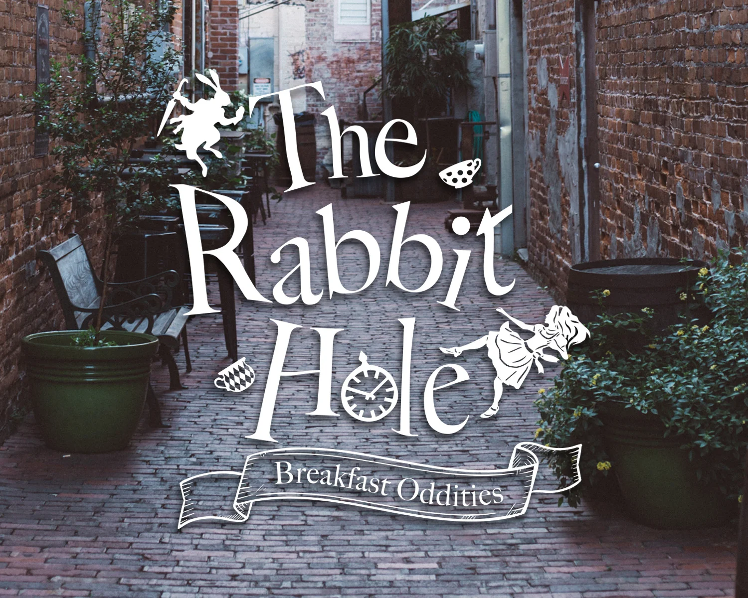 Rabbit_Hole_Header.jpg