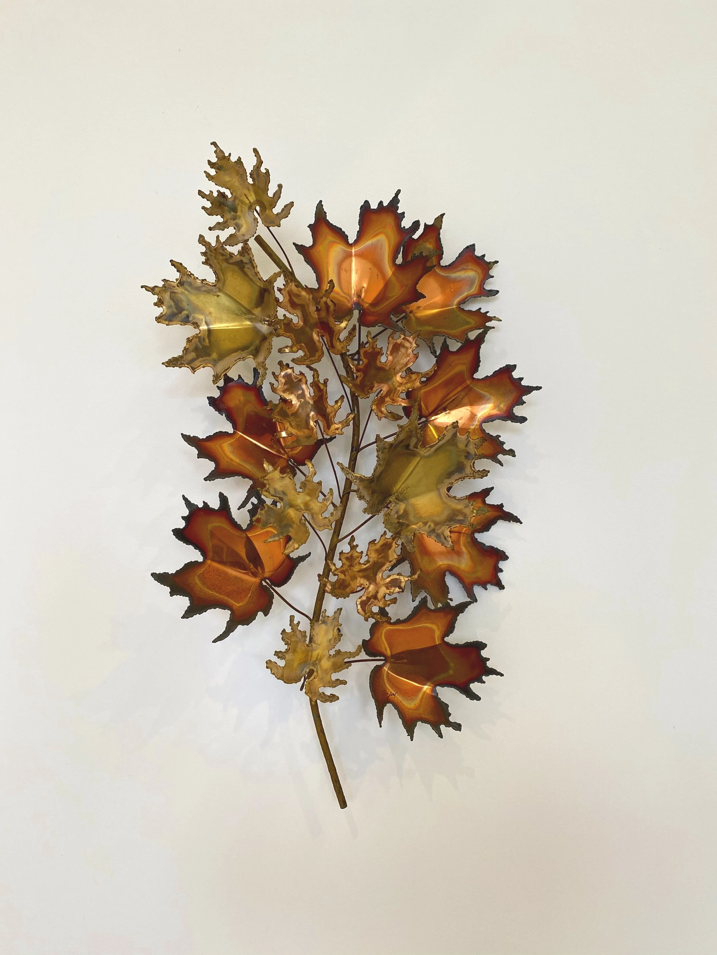 Pièces argnet Maple Leaf Etat neuf - Collection