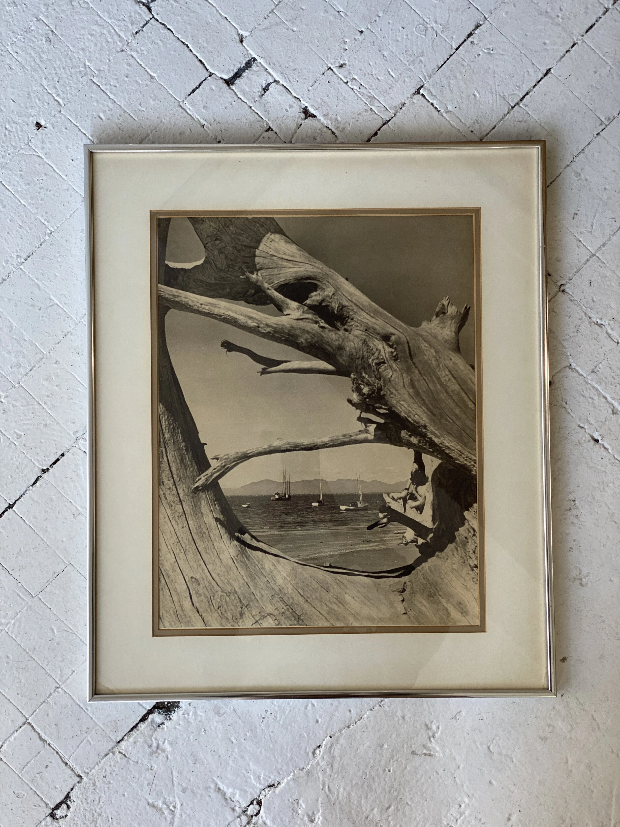 Driftwood At Neah Bay by Loomis Dean Print Published by New York Graphic Society, Circa 1960s
