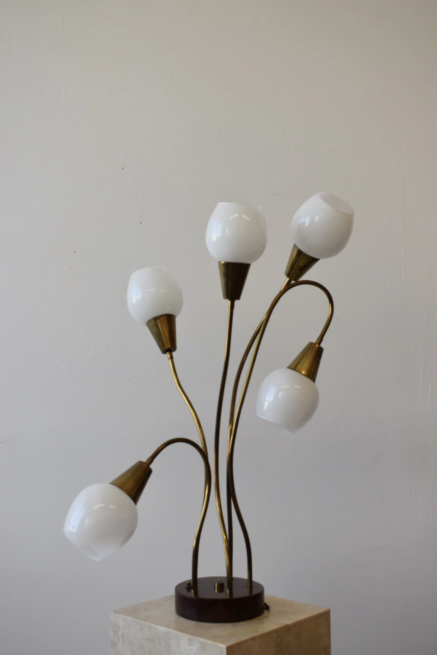 1DCD83A0-C6FA-41C6-A6D7-44A04A3902B0