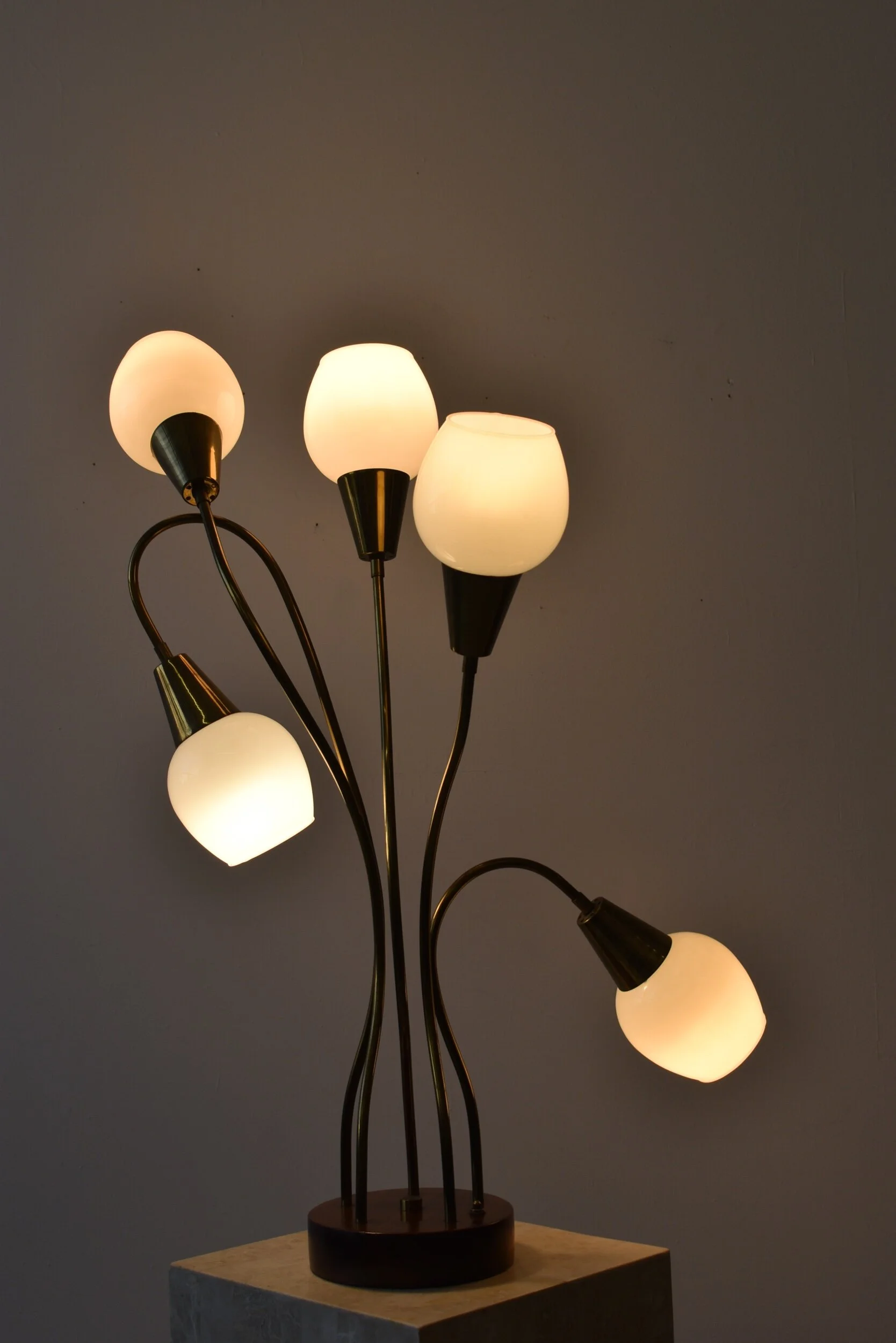 C848AF72-ECDE-4C82-8E4D-92E8C149DFBF