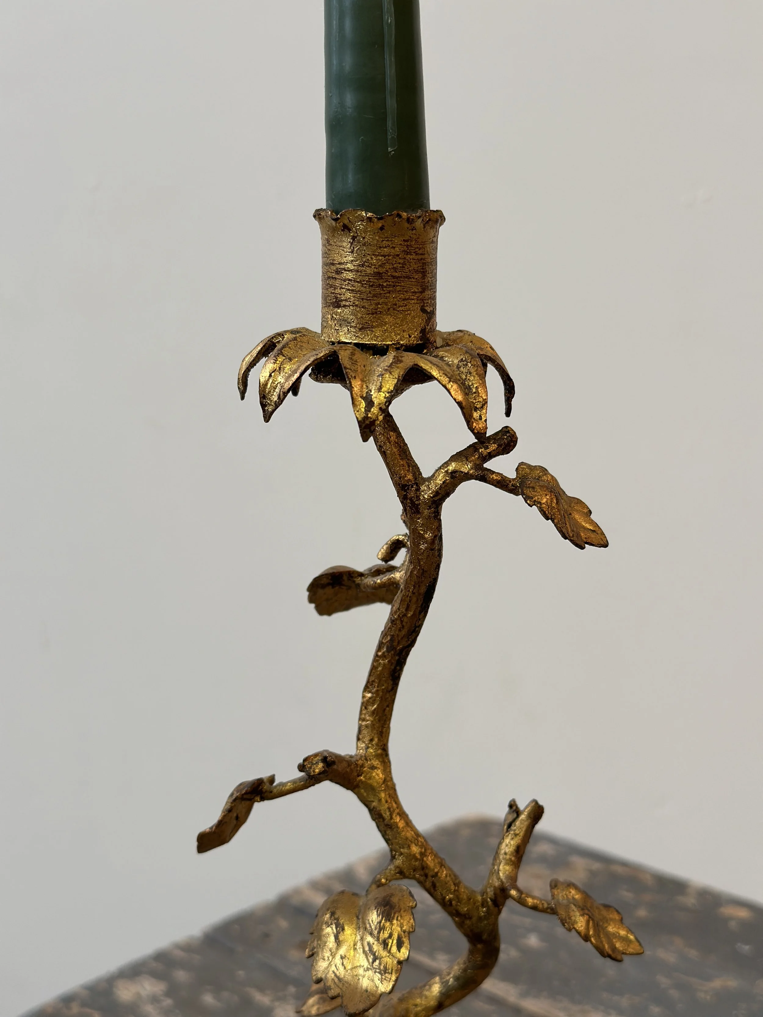 IMG_5158.JPG