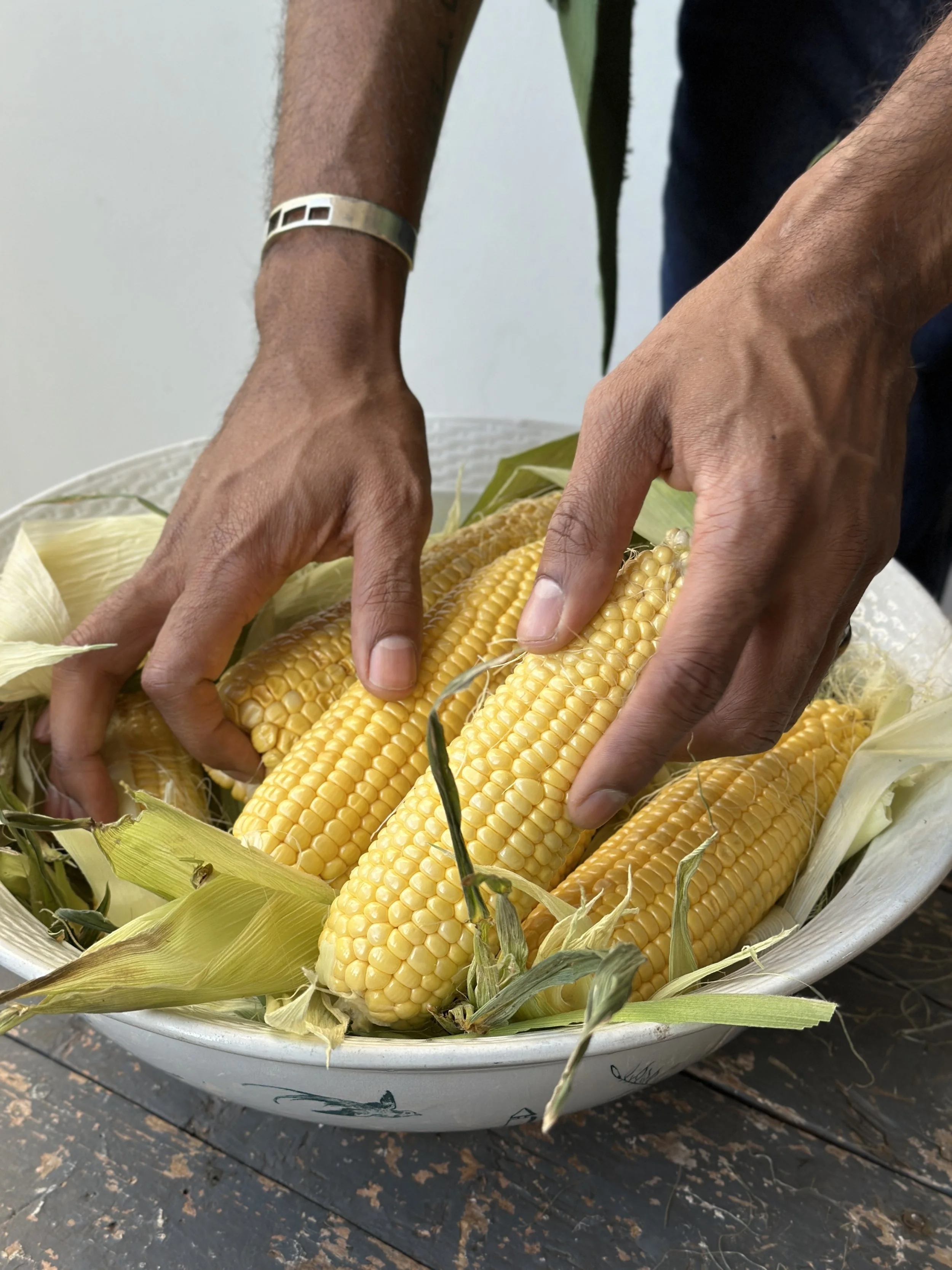 portmanteau.corn.harvest.jpg