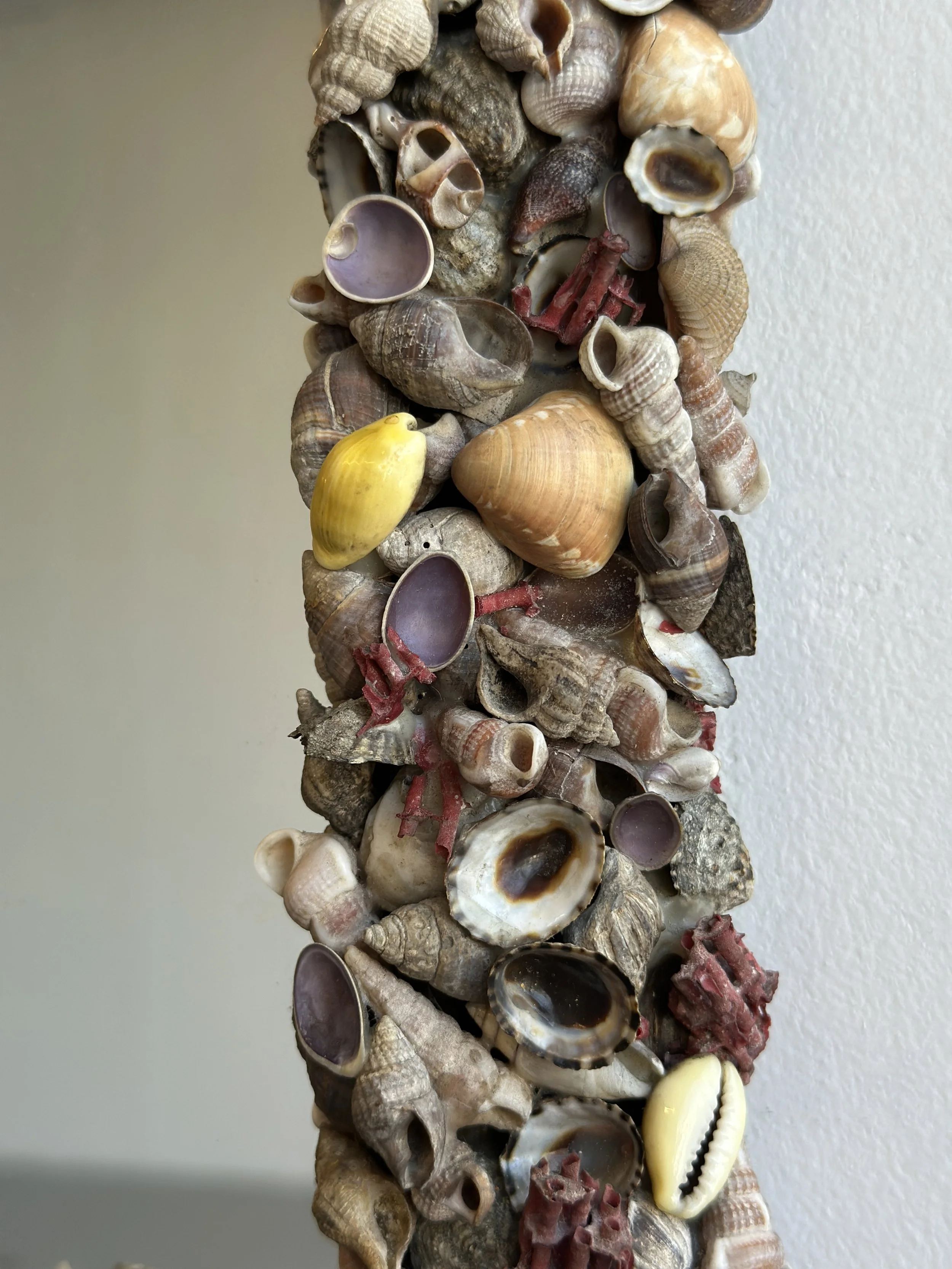 IMG_4888.JPG