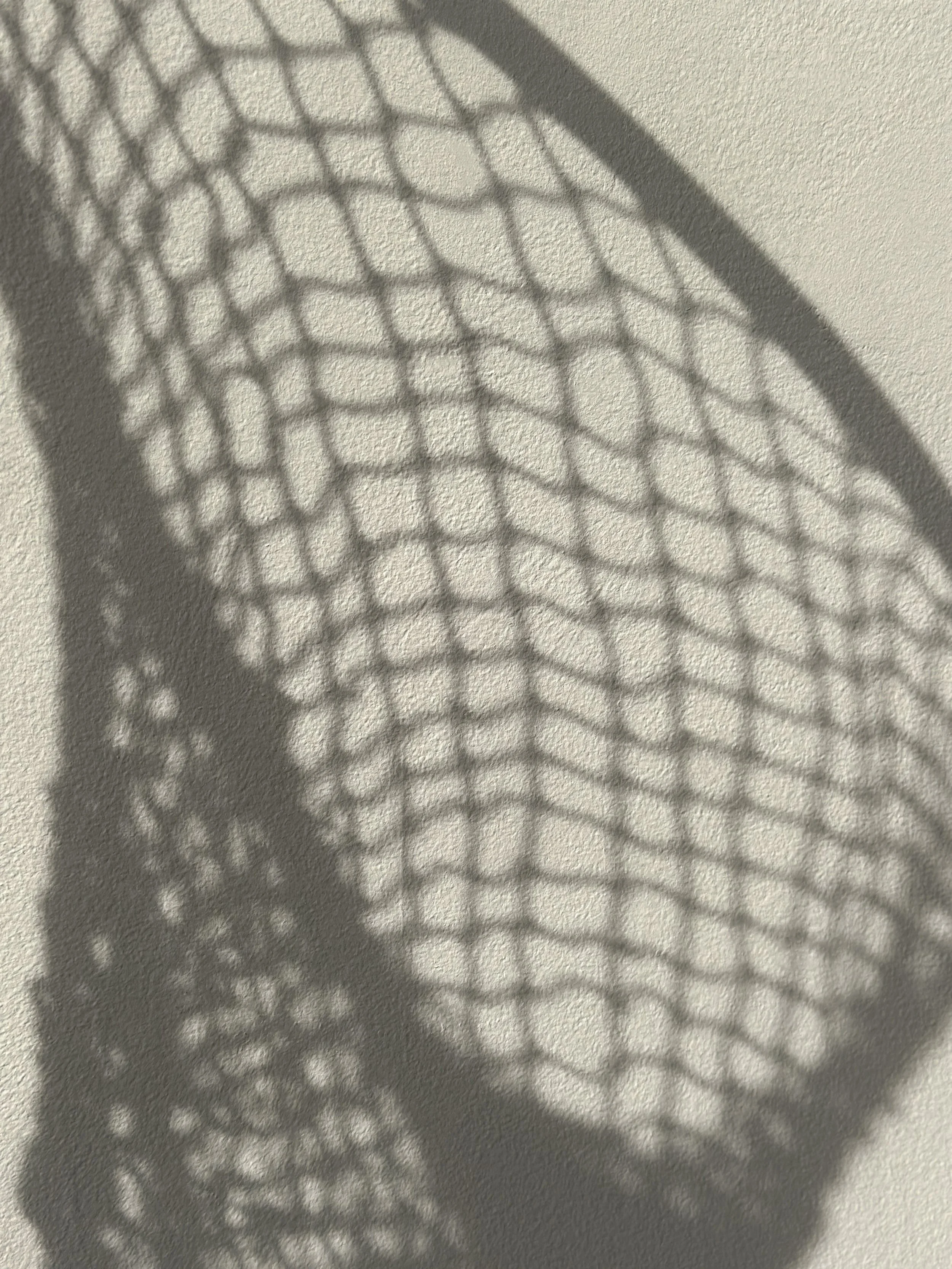 IMG_7598.jpg