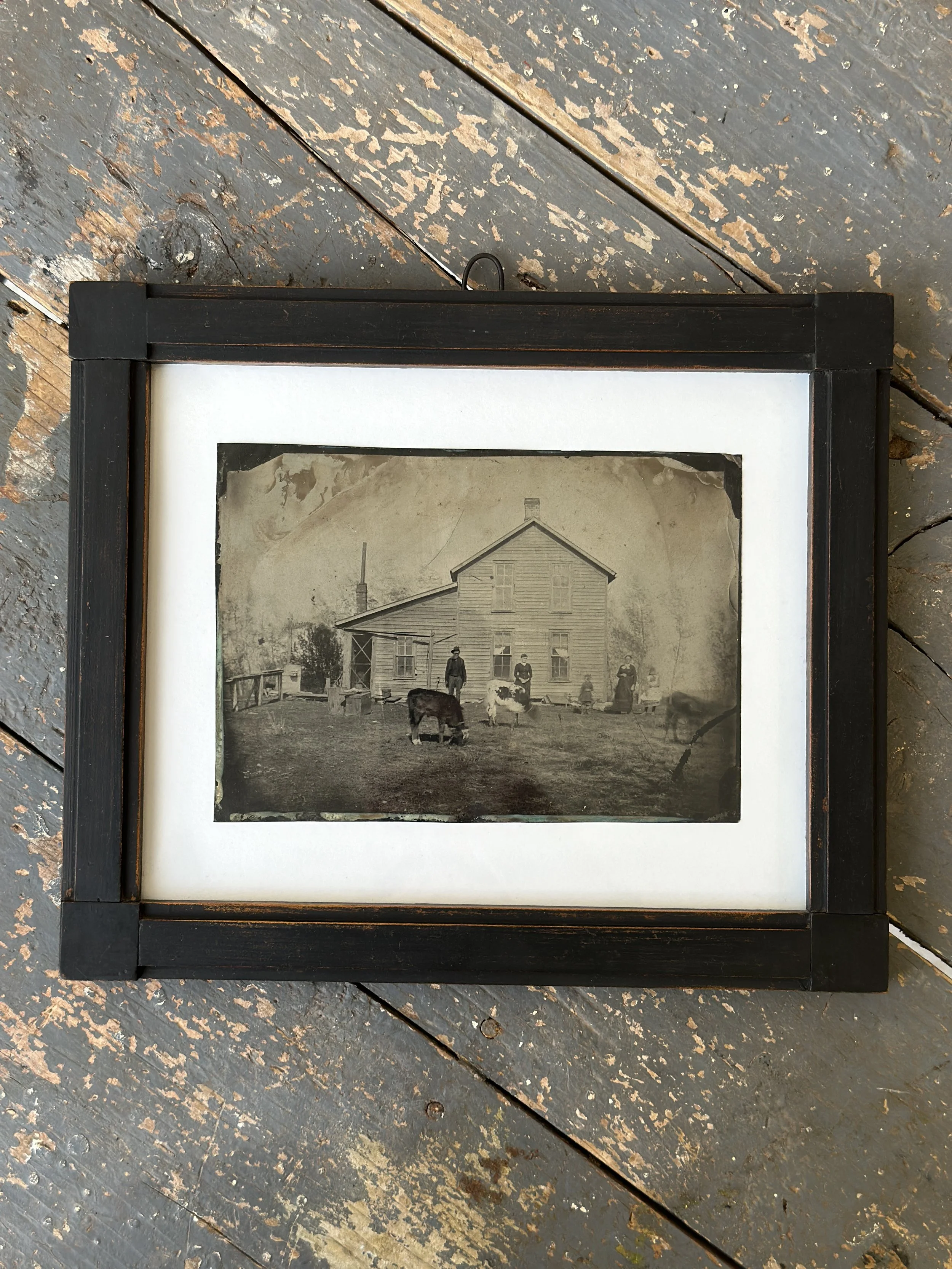 Antique Framed Homestead Tintype Portrait with Cows, Circa Last Quarter 19th Century