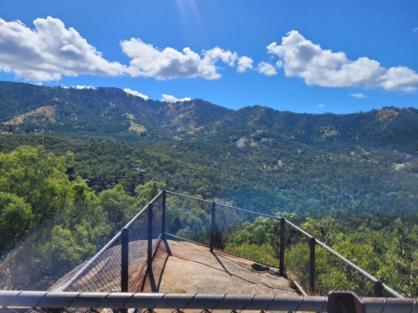 ⭐️ Honestly, just went to Tamworth for the dog spotting ⭐️