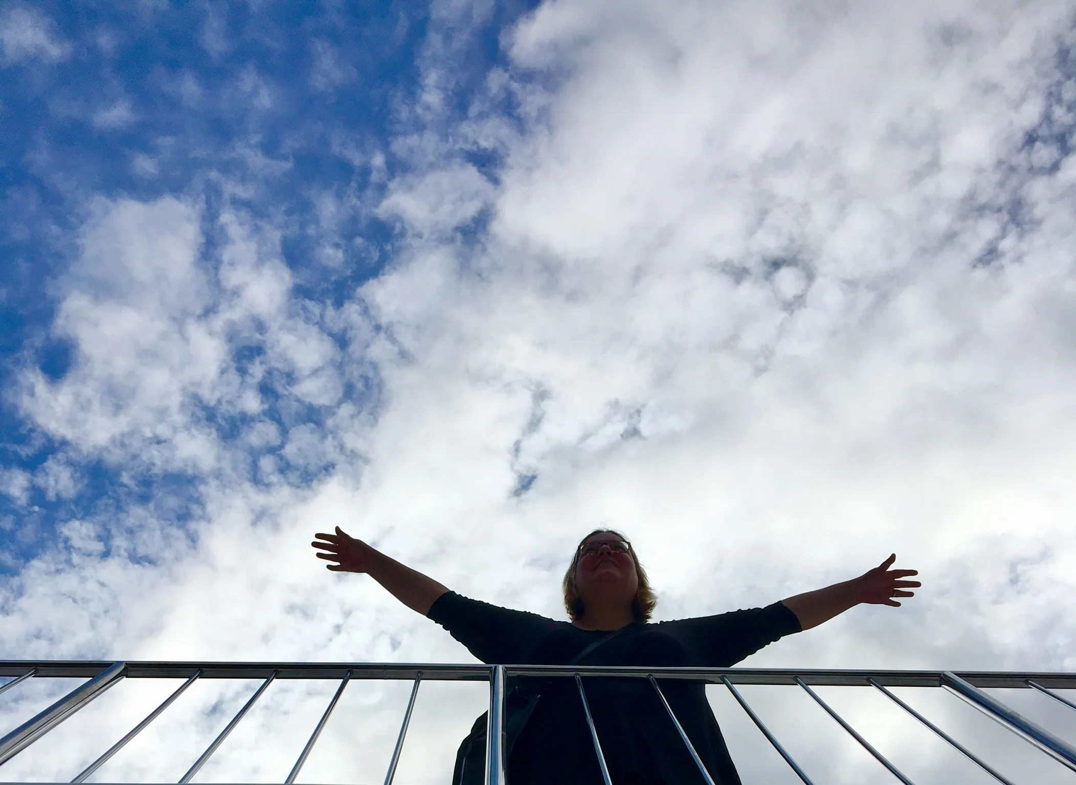 Flying High through the Fjords