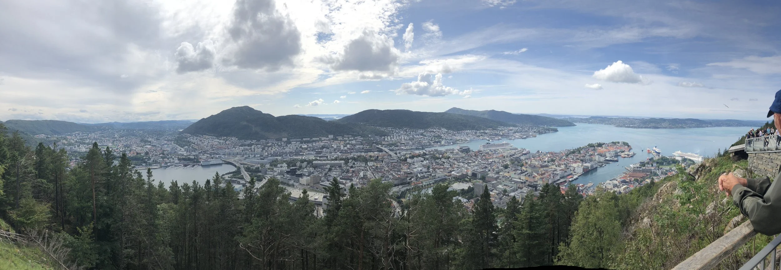 Panorama of Bergen from Mount Fløyen