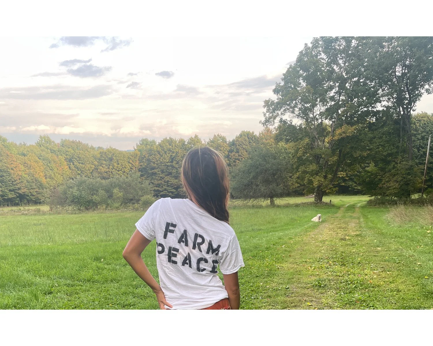 Star Route Fucking Farm back .jpg