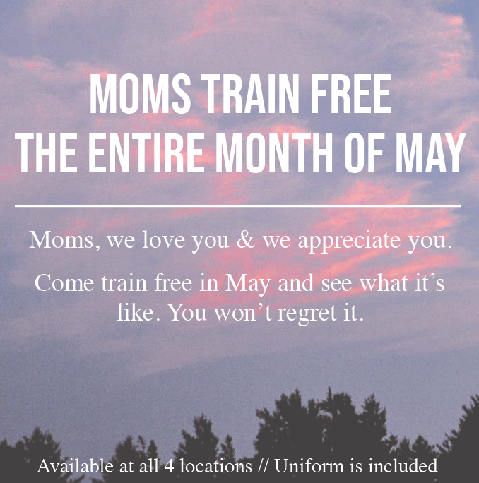 Moms Train Free Online5.png