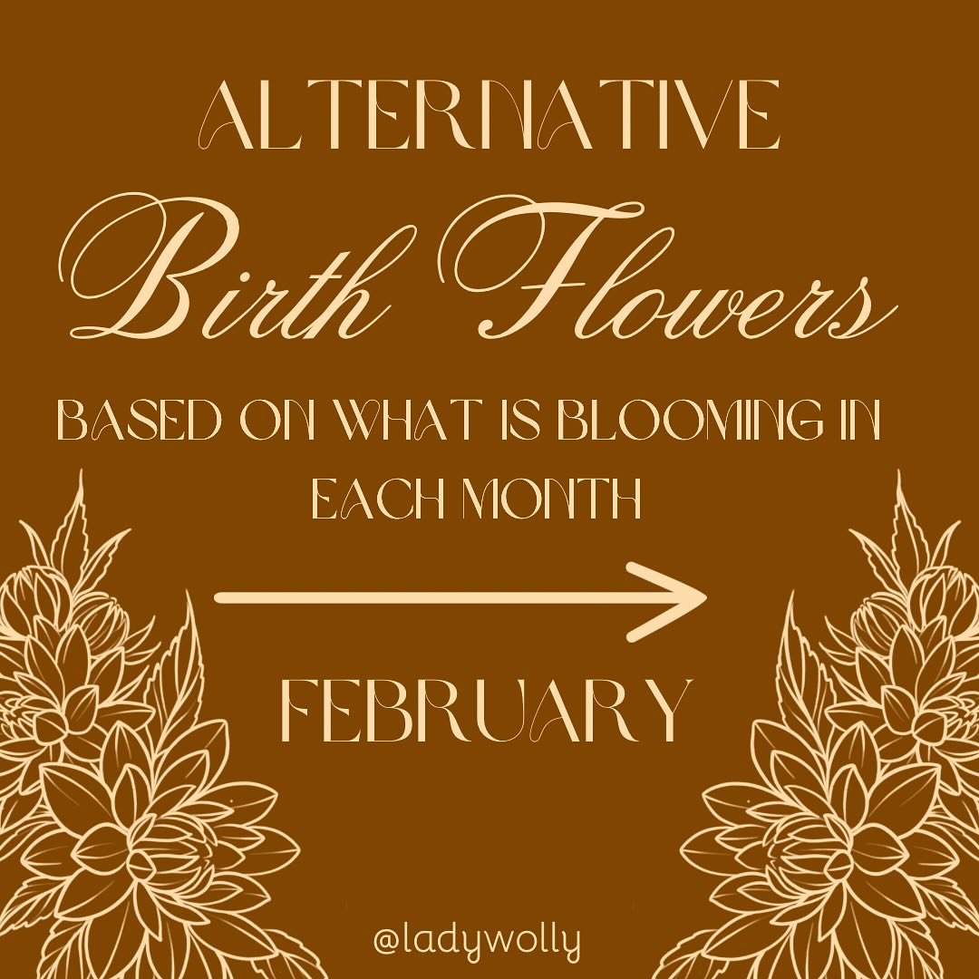 Alternatives to your traditional birth flowers for February babes! Sorry taking me a while to get out, but I&rsquo;m plotting and planning the rest of the year so hold tight! 
February babies: which is your favorite of these three flowers? Everyone e